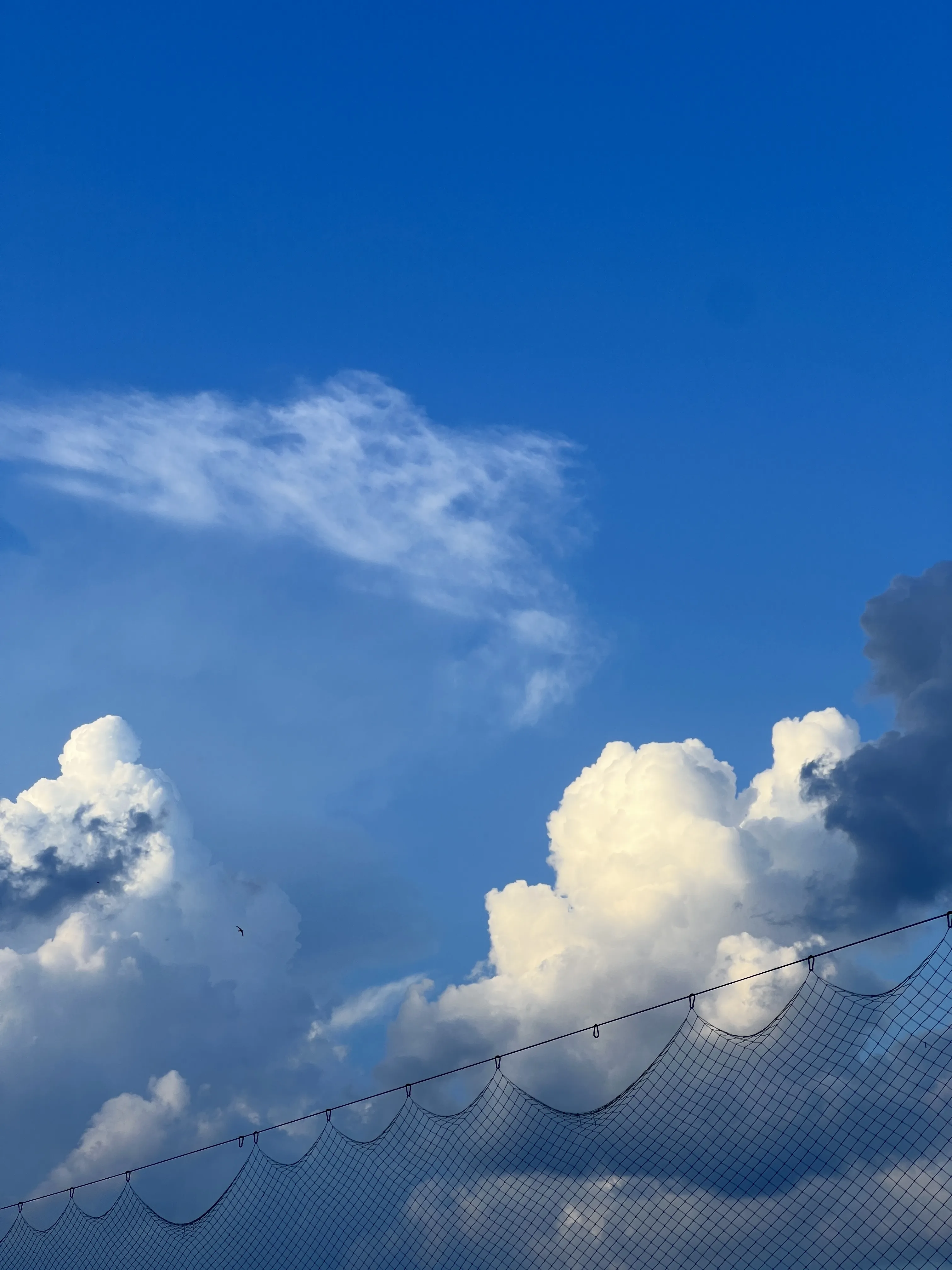 Течение моей жизни