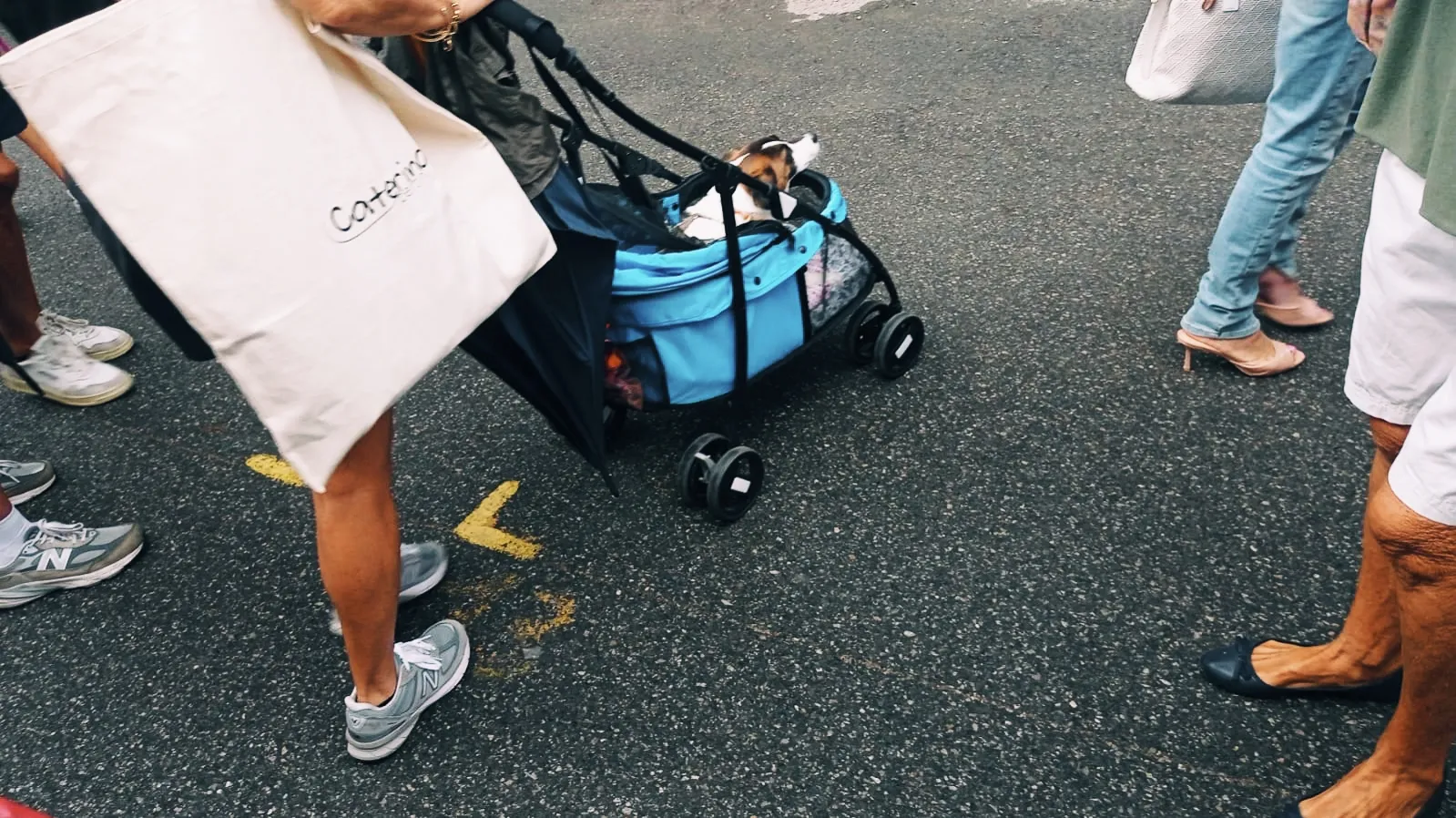 Дорогу, я тут главный!