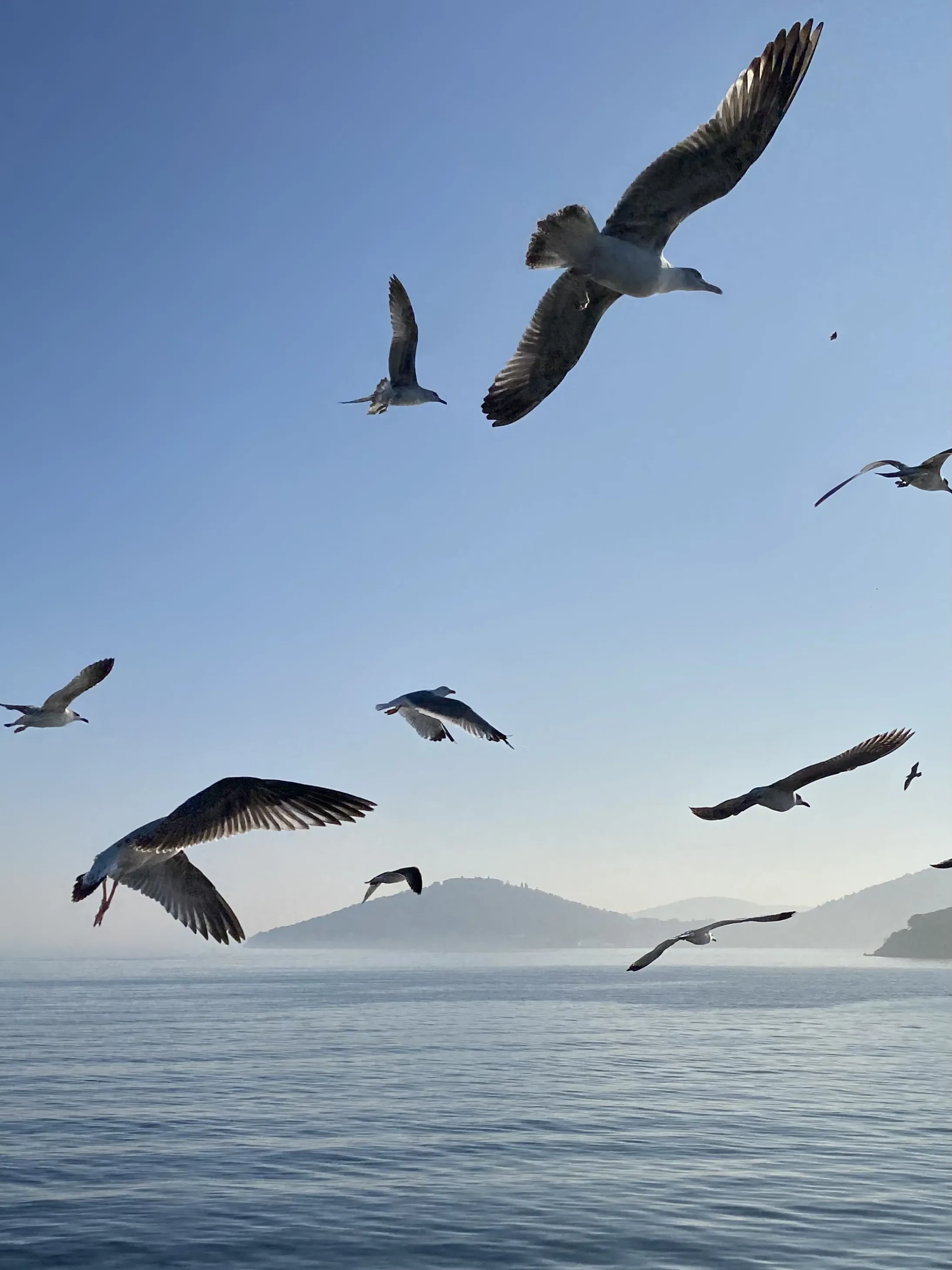 Здесь, где воздух лёгкий