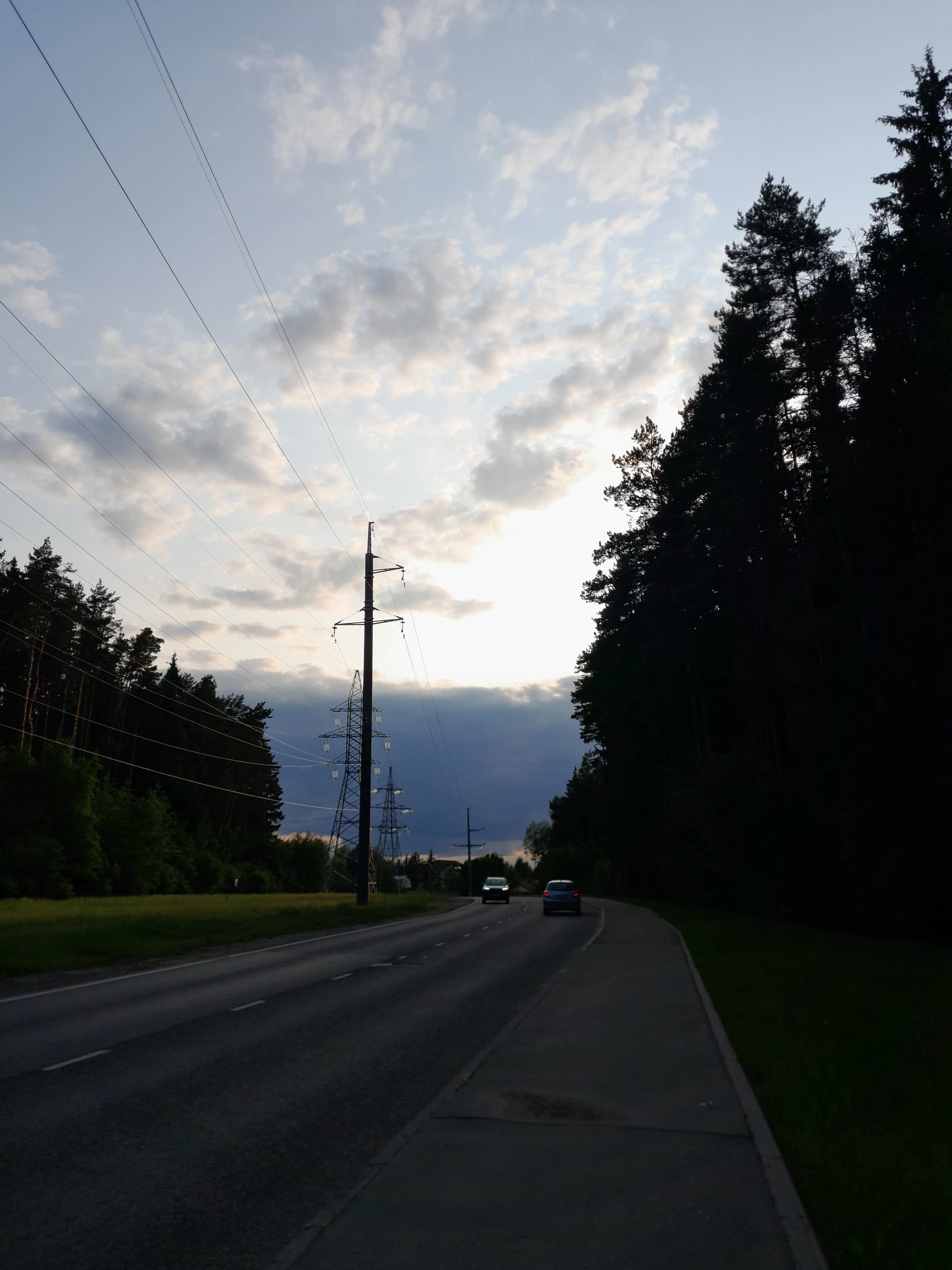 На грани дня и ночи: лес сквозь сумерки