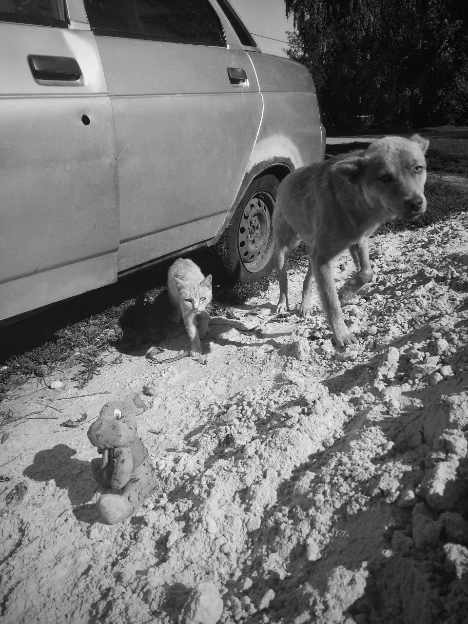 Это наша песочница