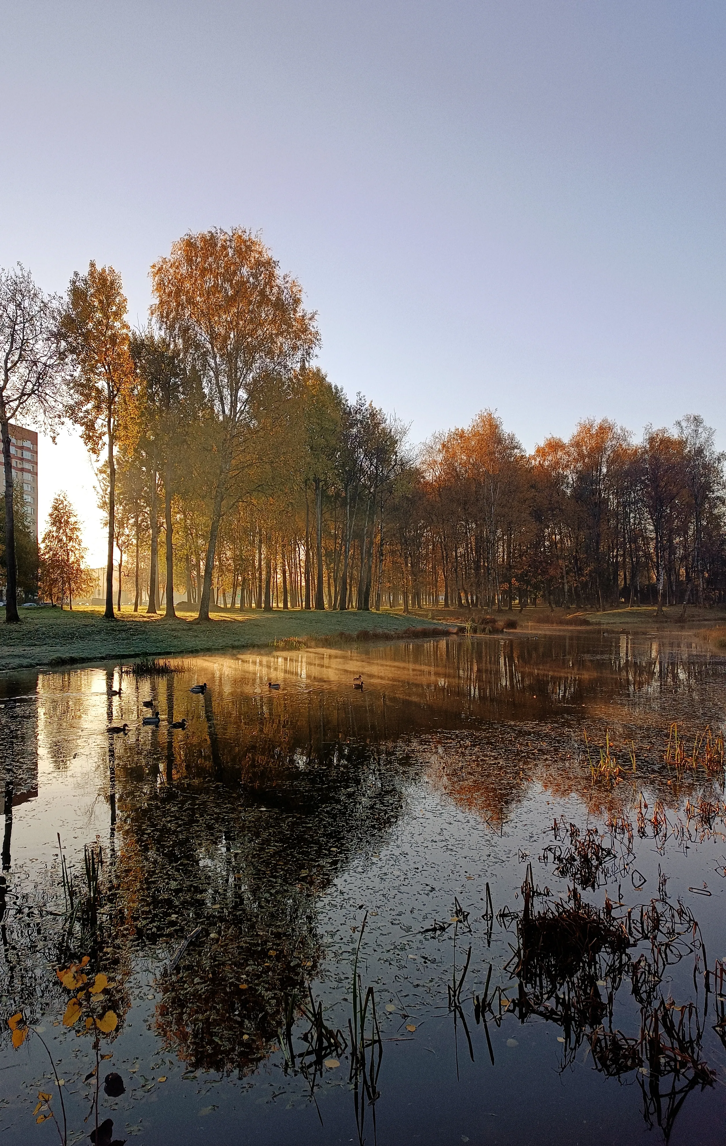 Дорога в офис