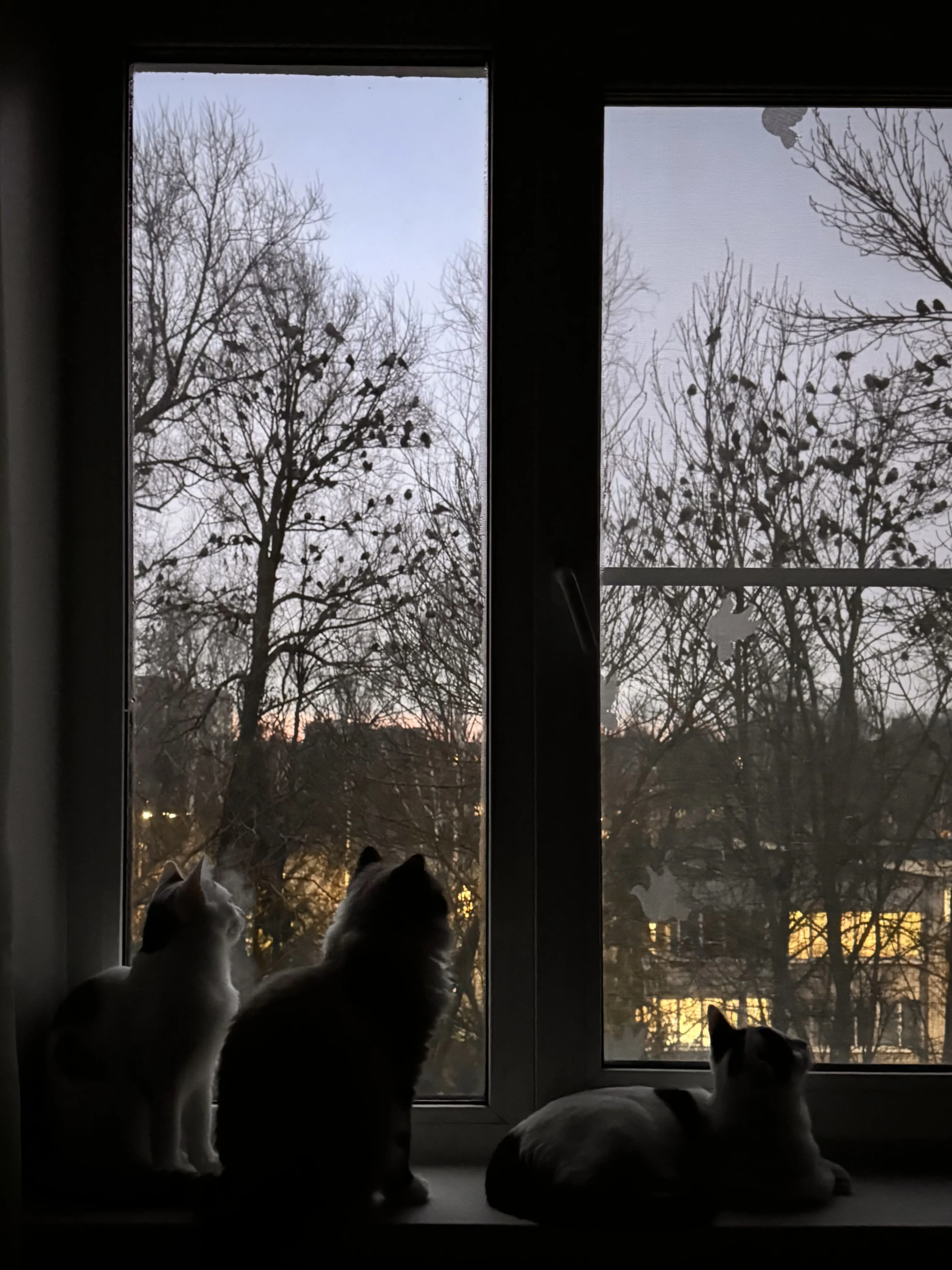 Разные реальности