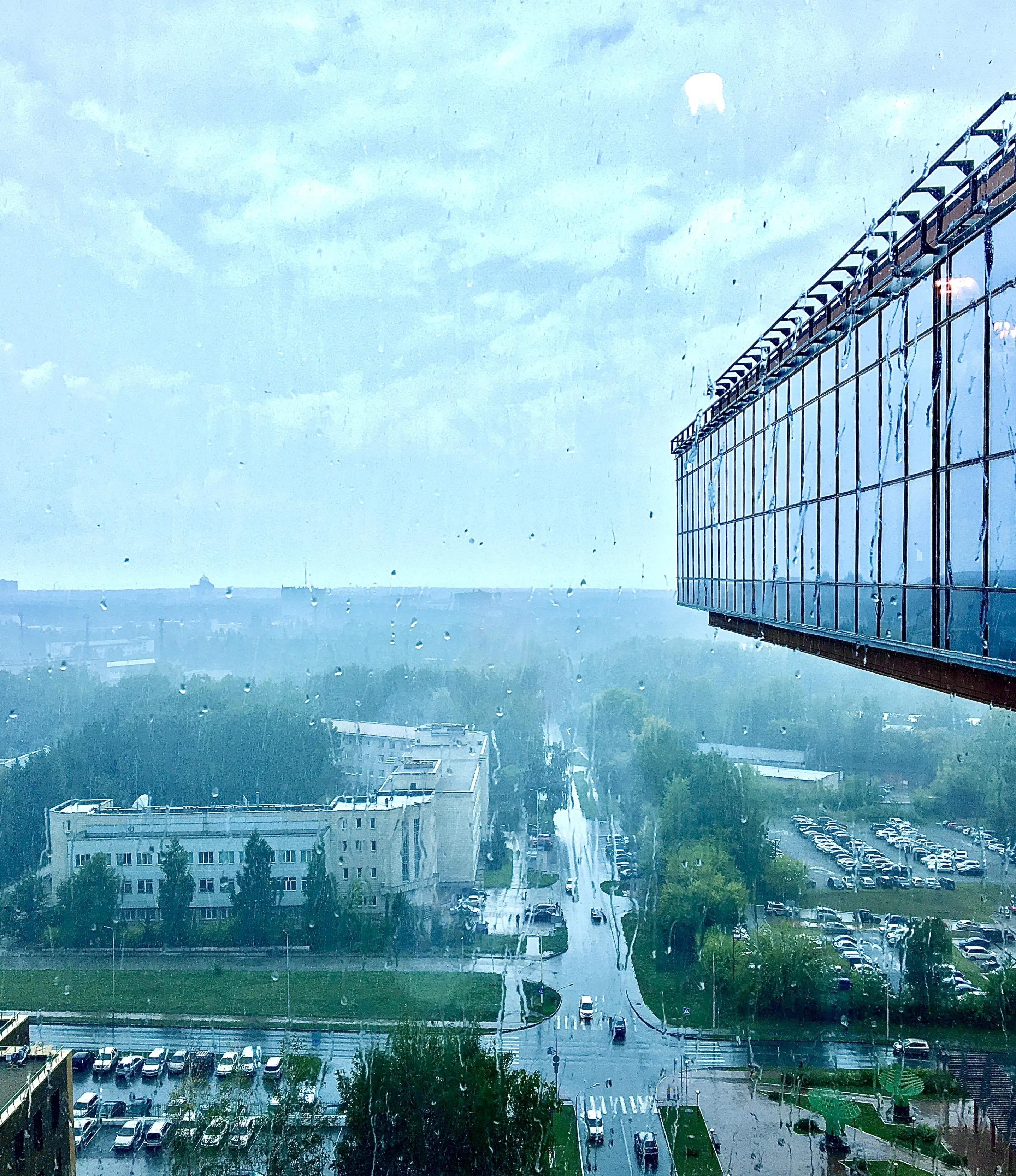 Мокрая суета