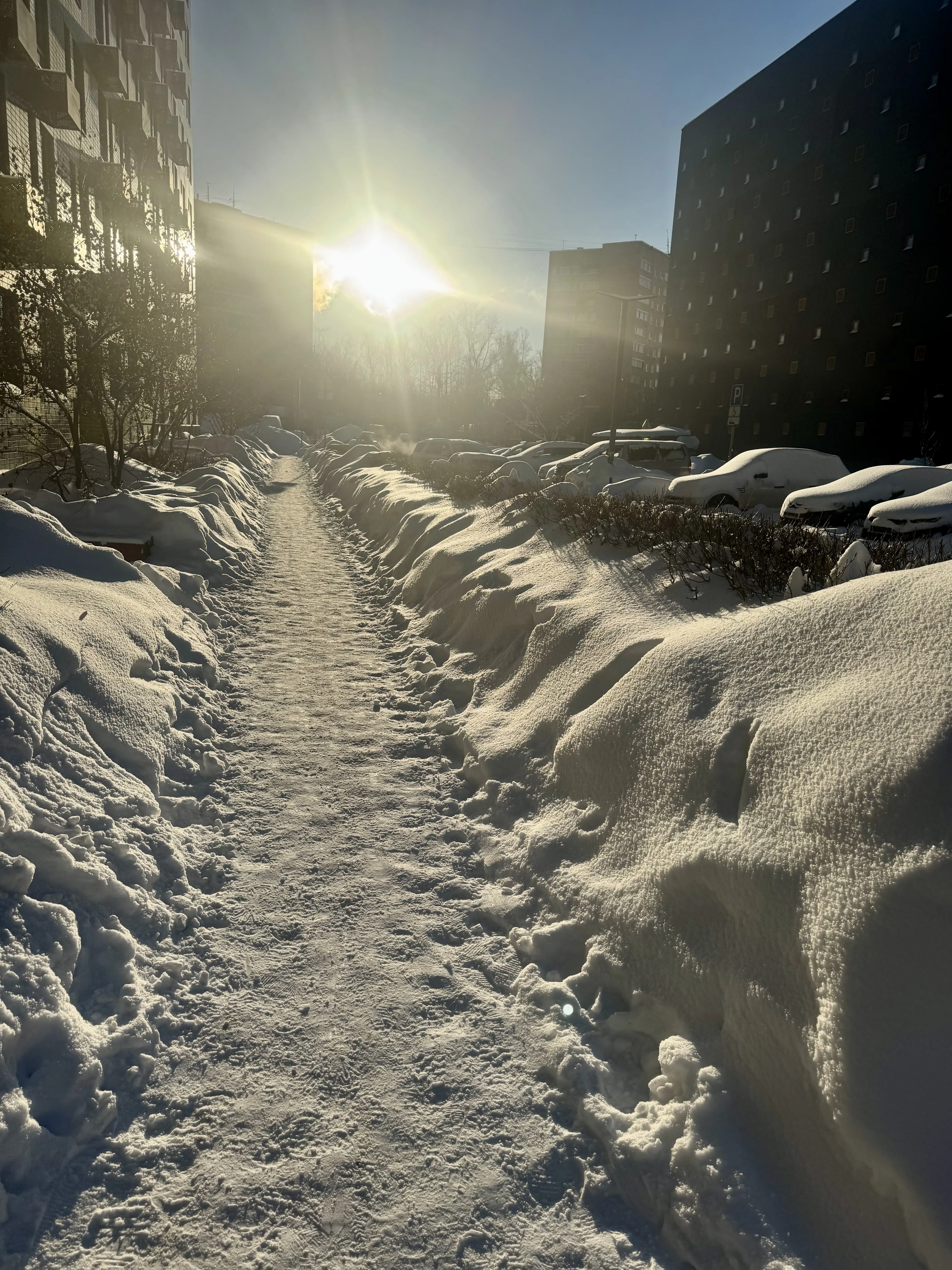 Морозное утро
