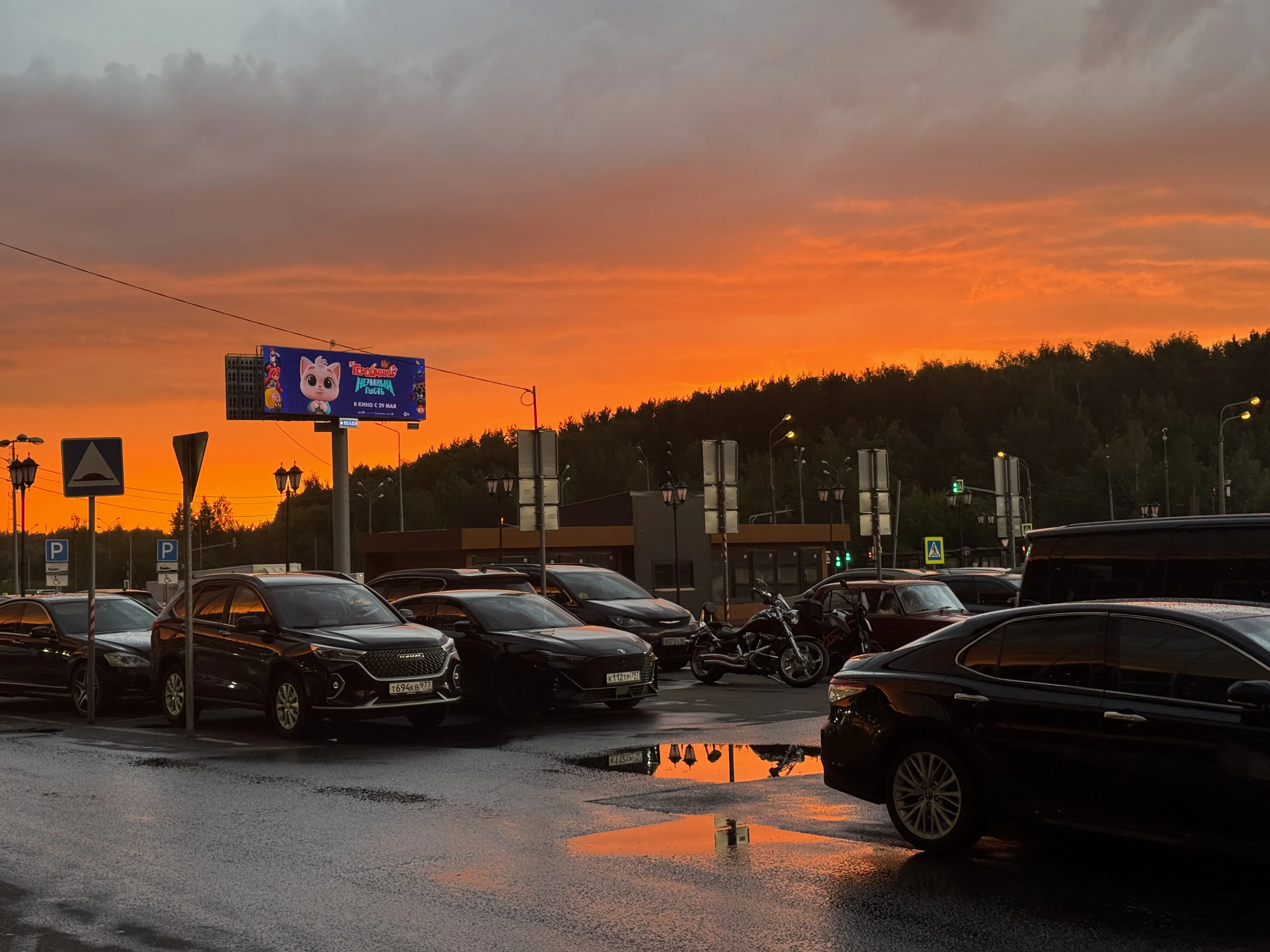 Красота в каждом дне