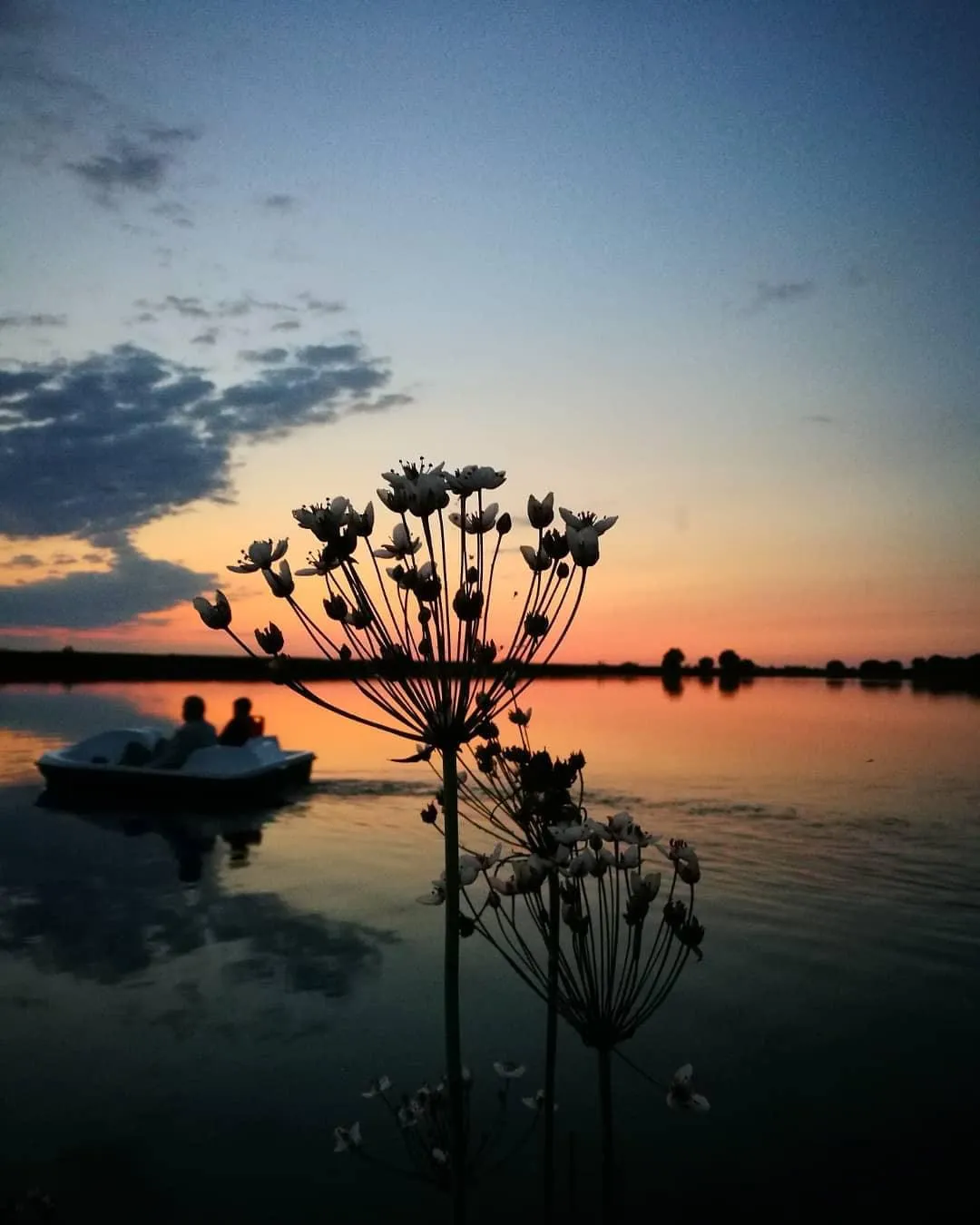 Давай уплывём в закат
