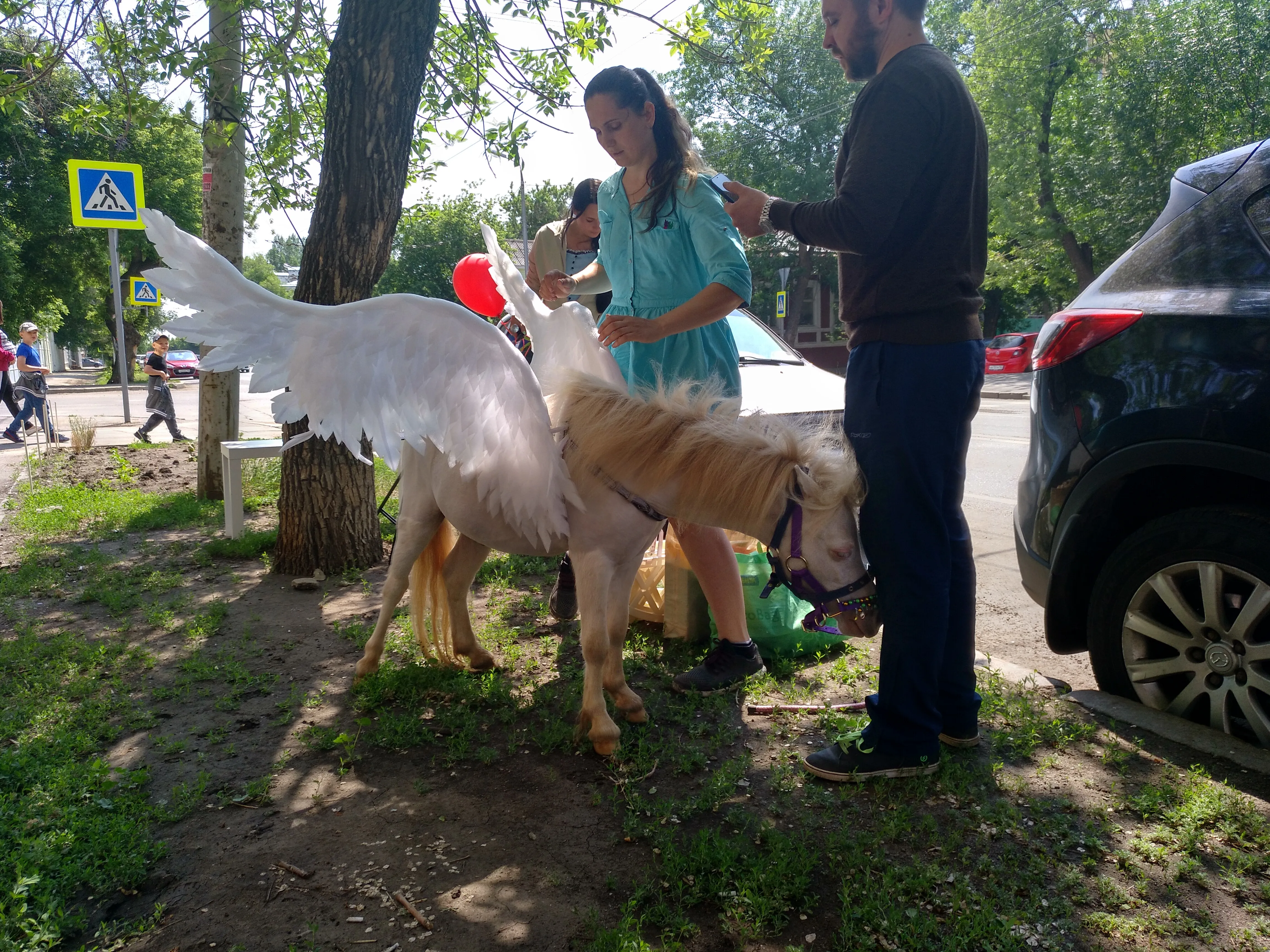 Пегас