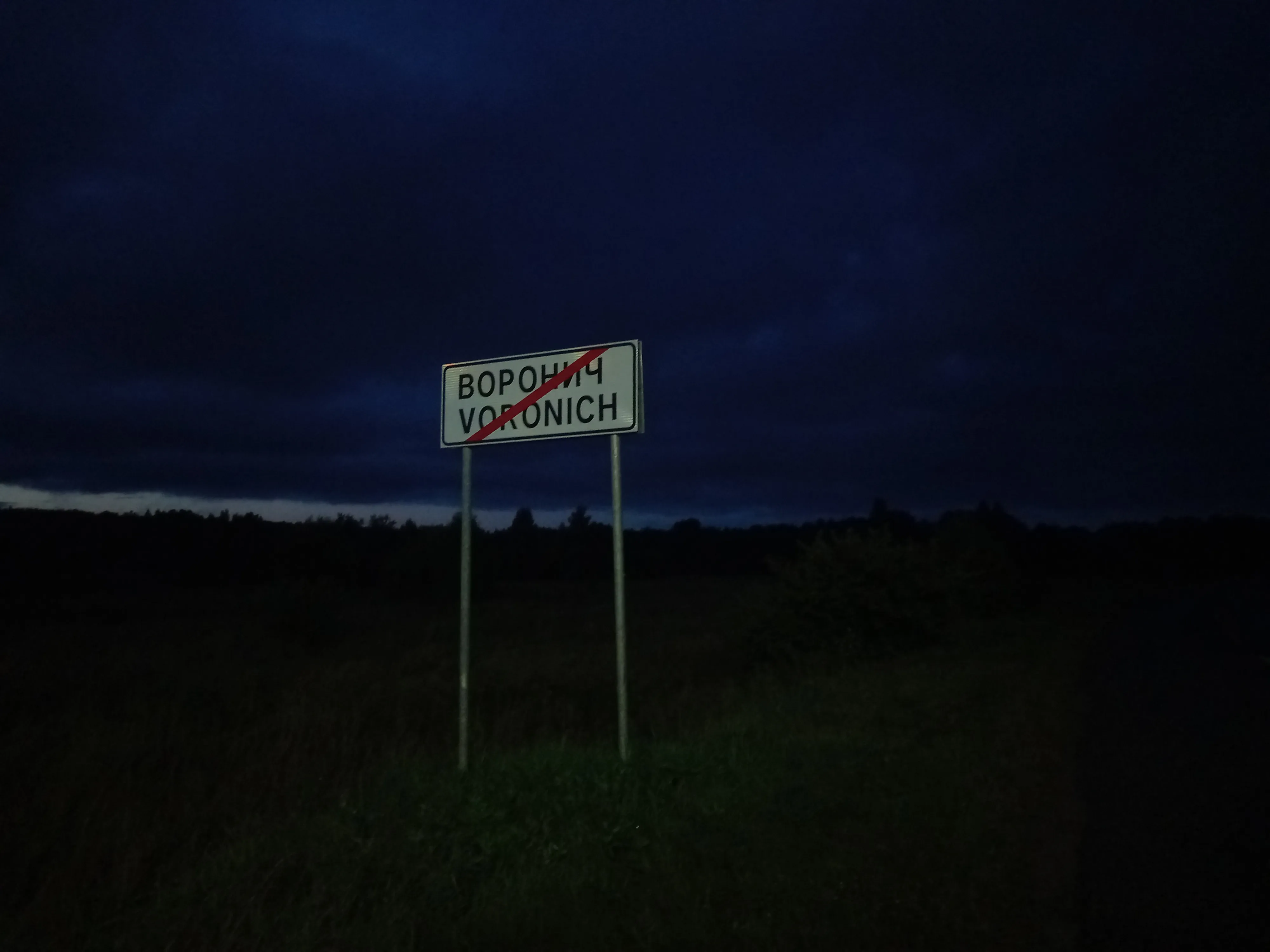 Воронич