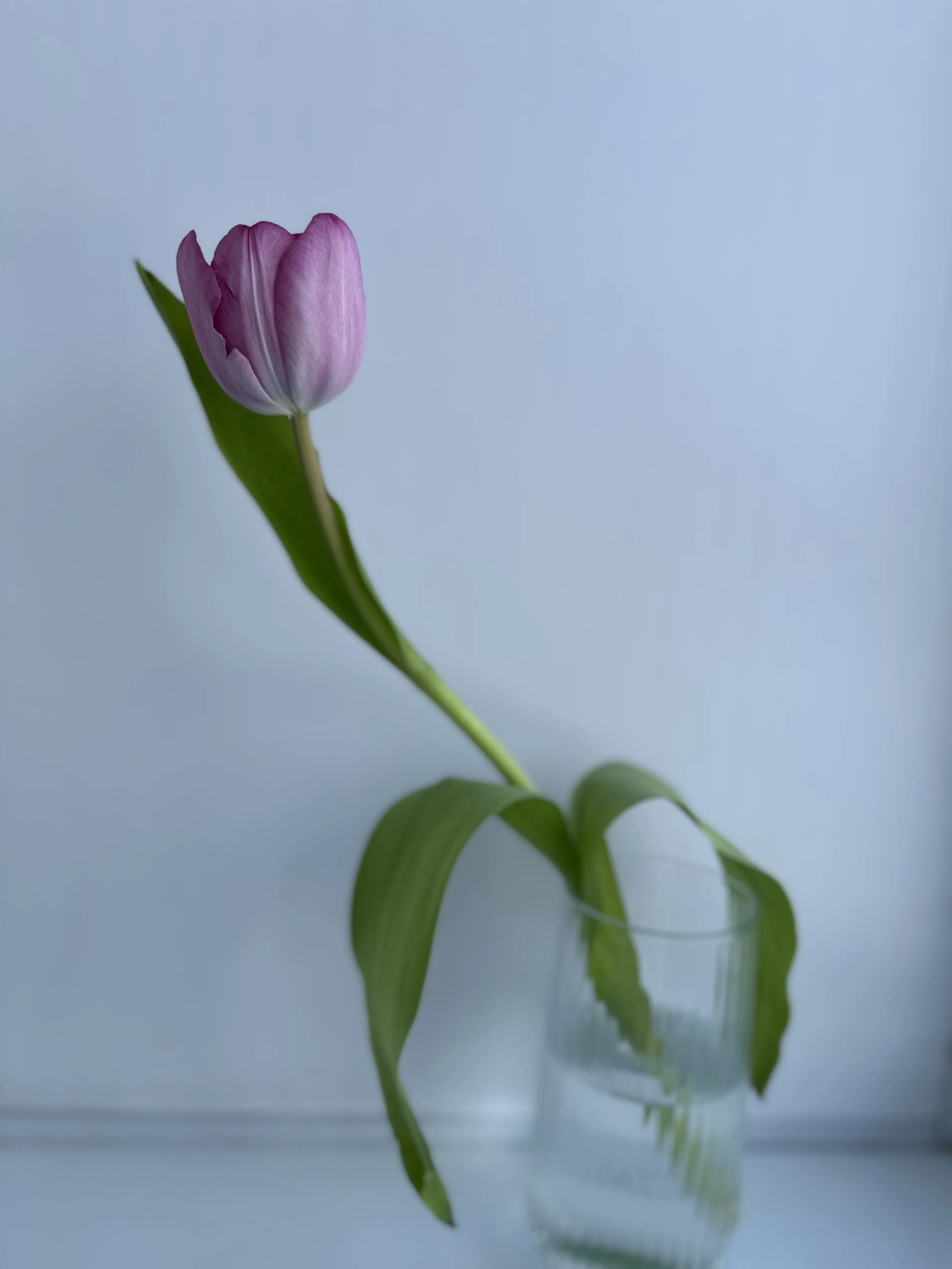 Совершенство