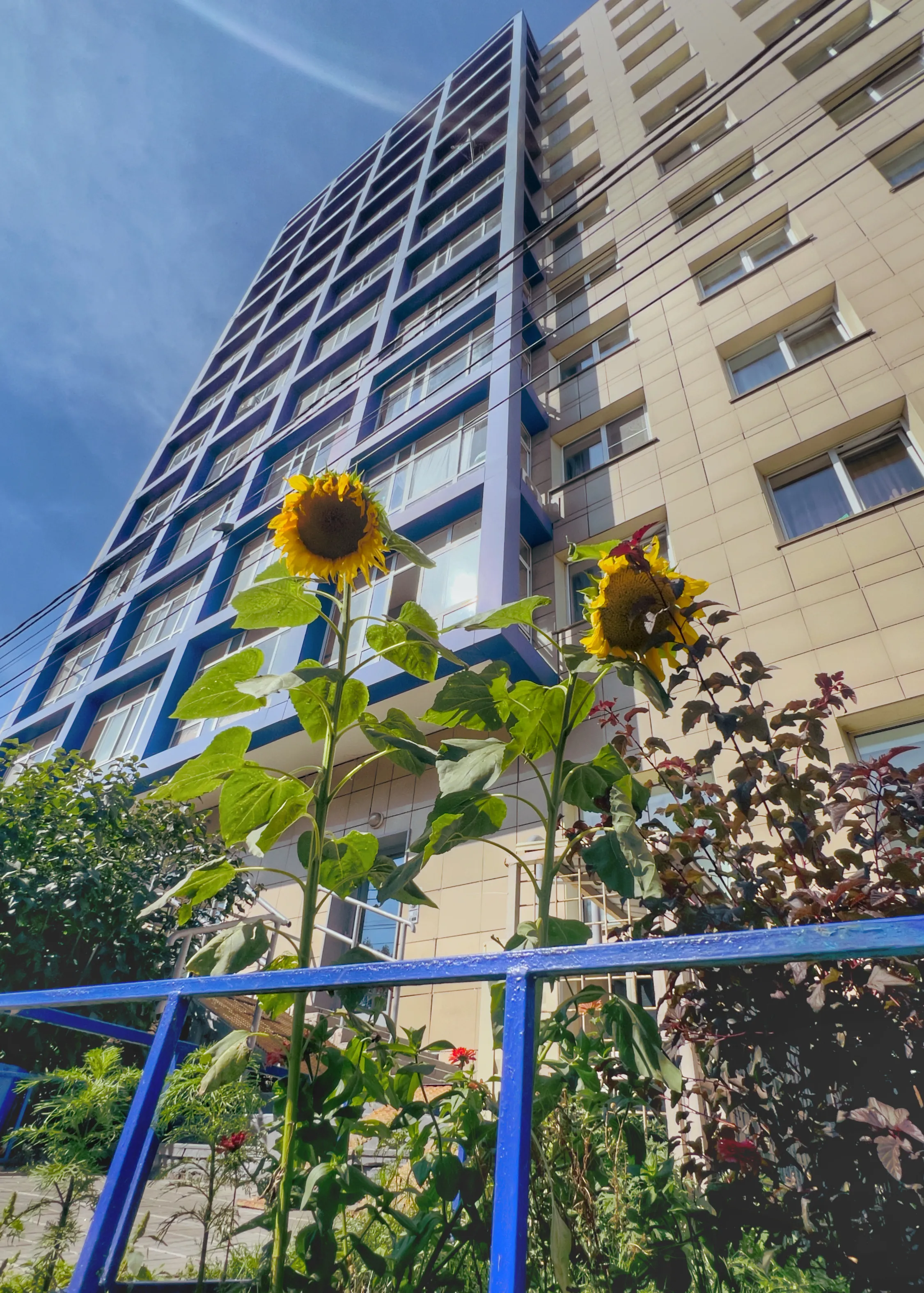 Городские