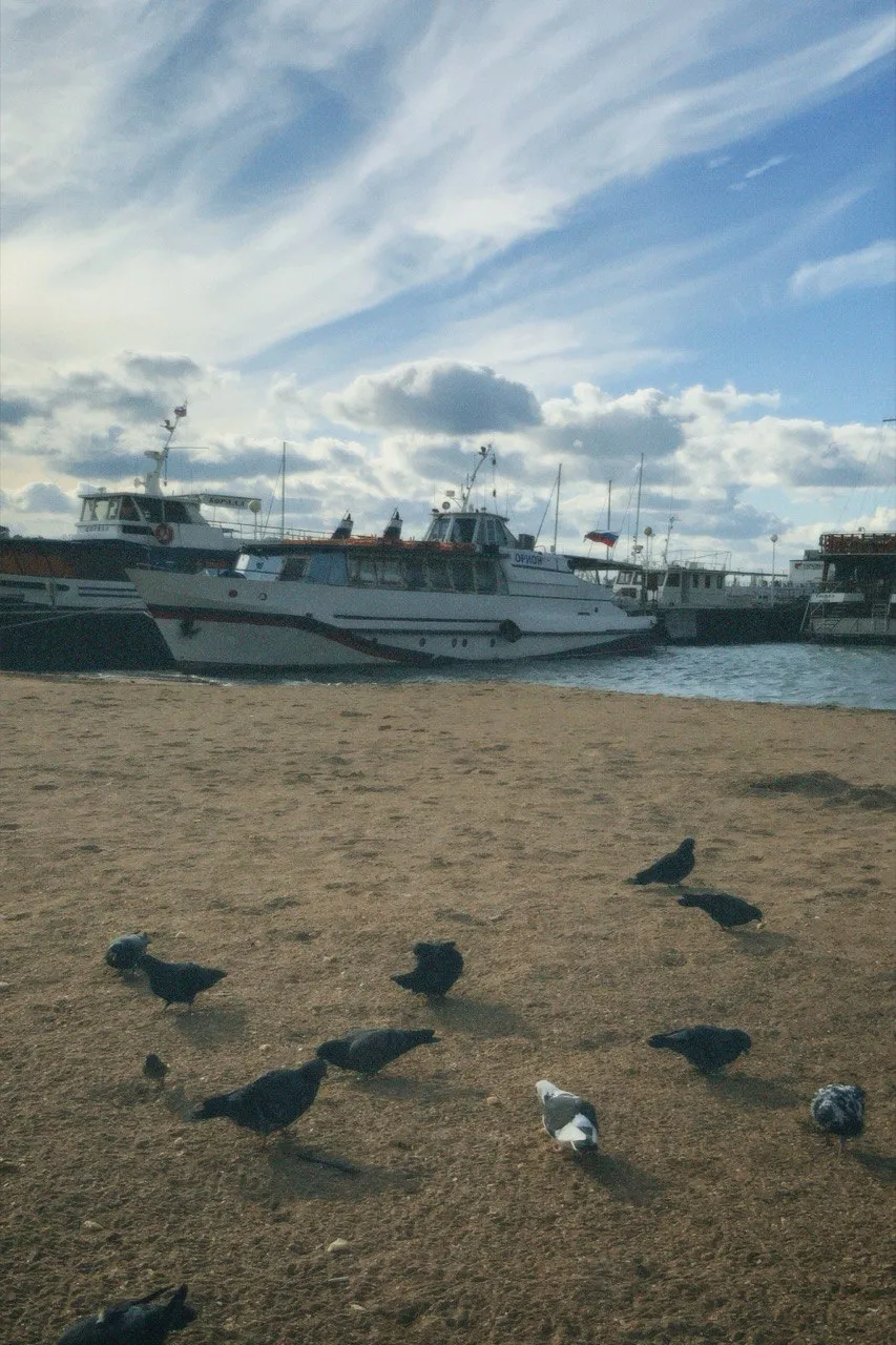 Между морем и небом