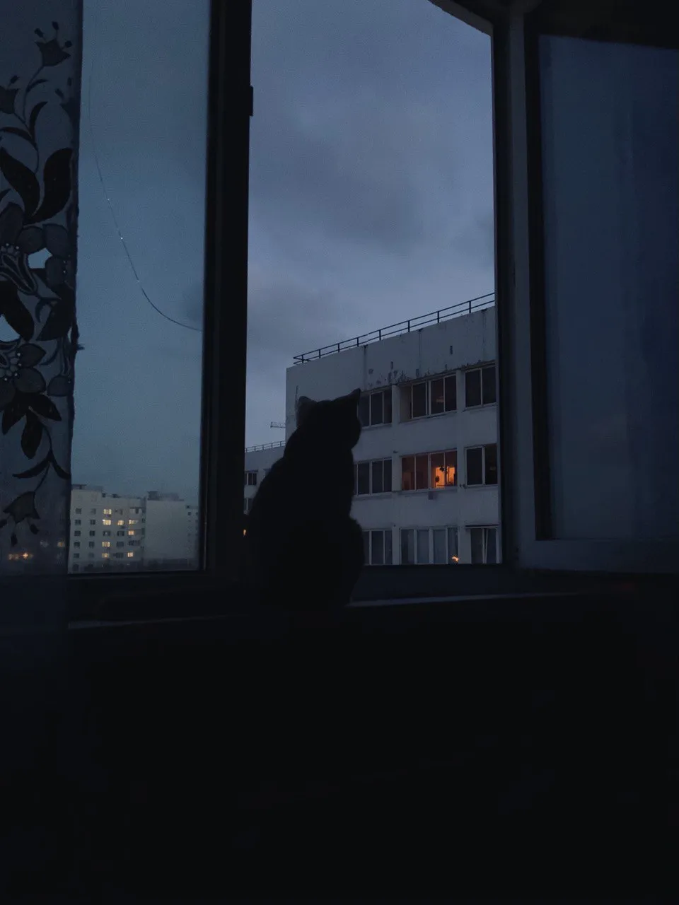 Вечерний наблюдатель