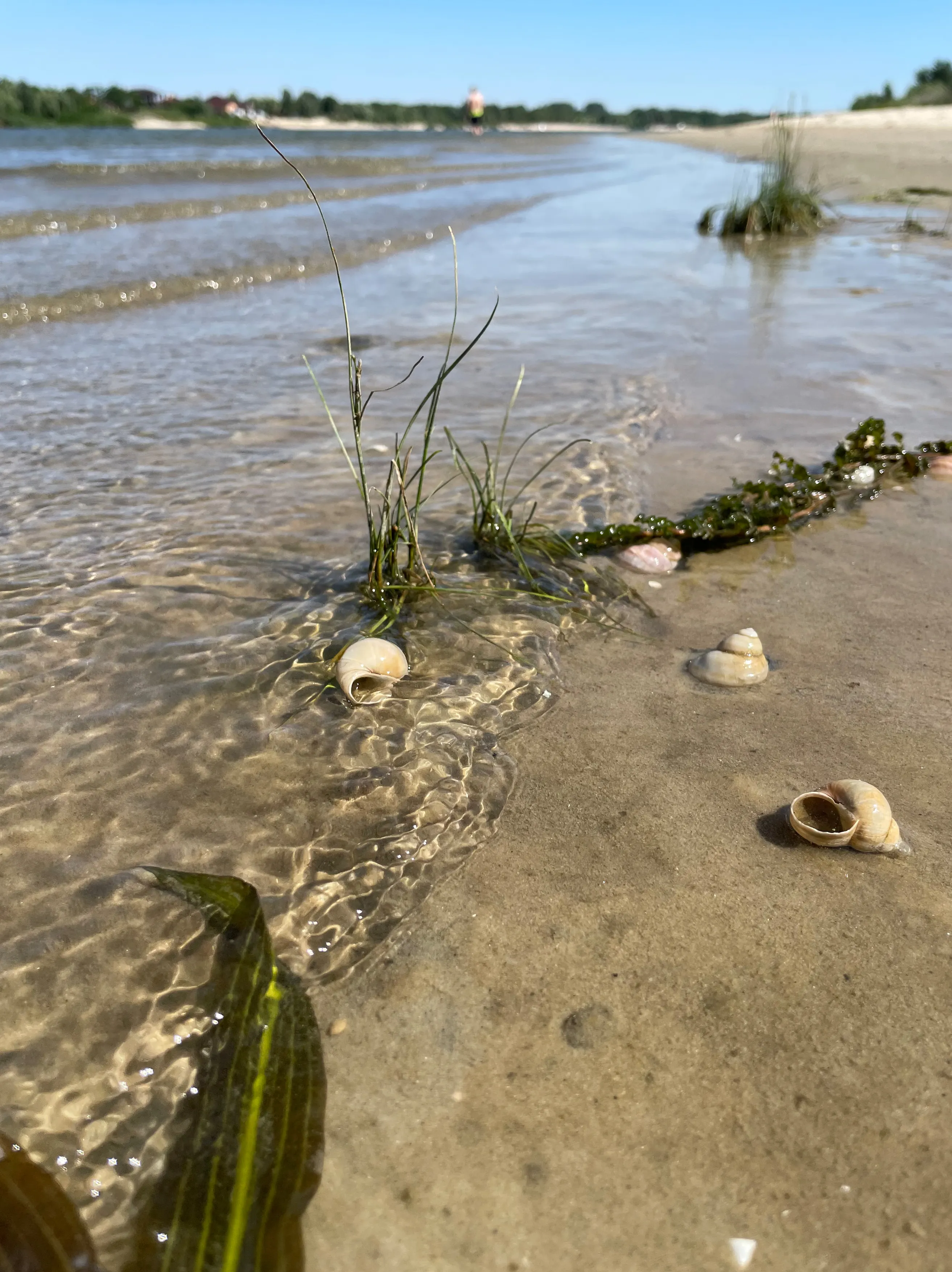Исцеляющая вода