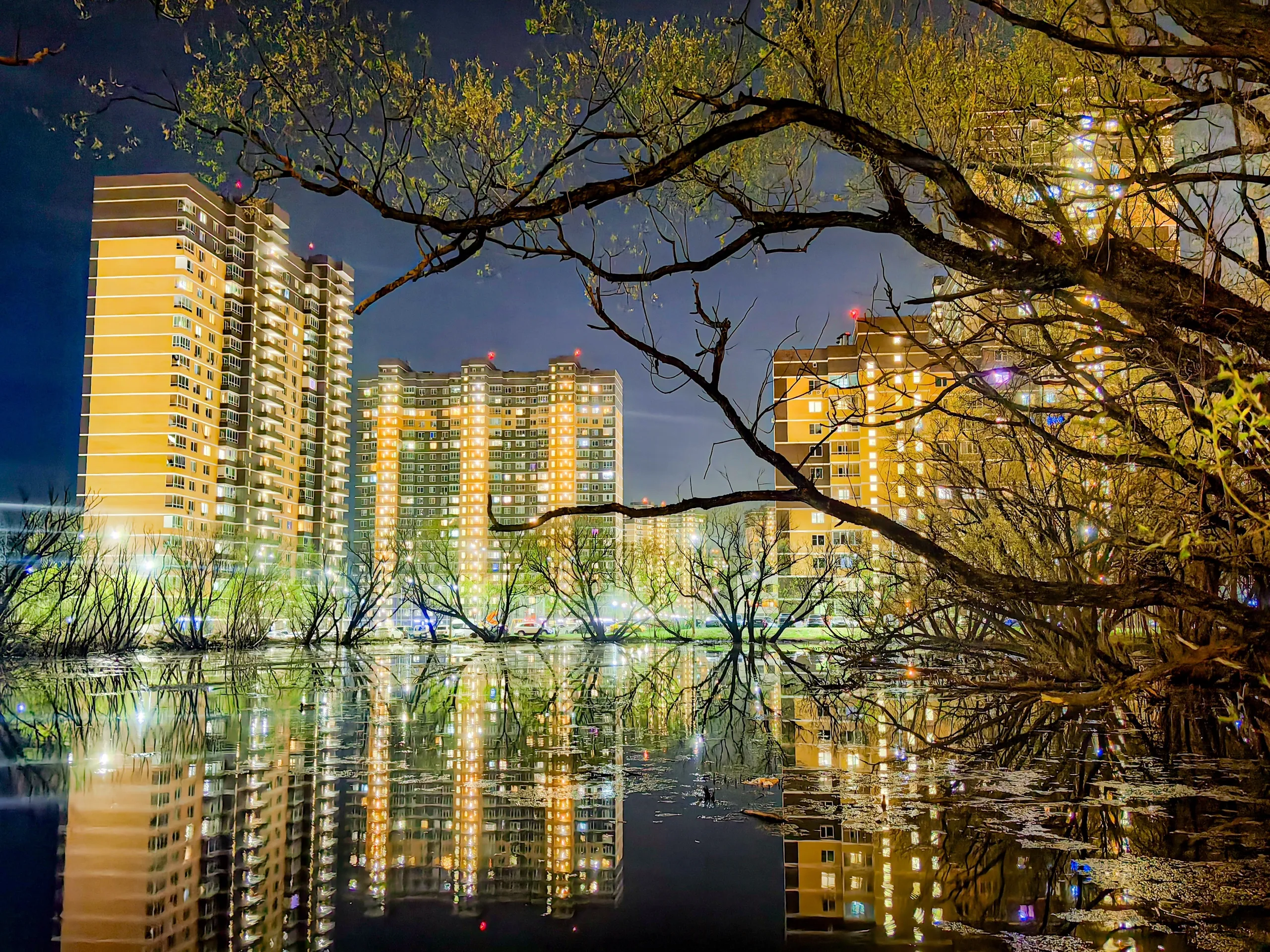 Городские джунгли
