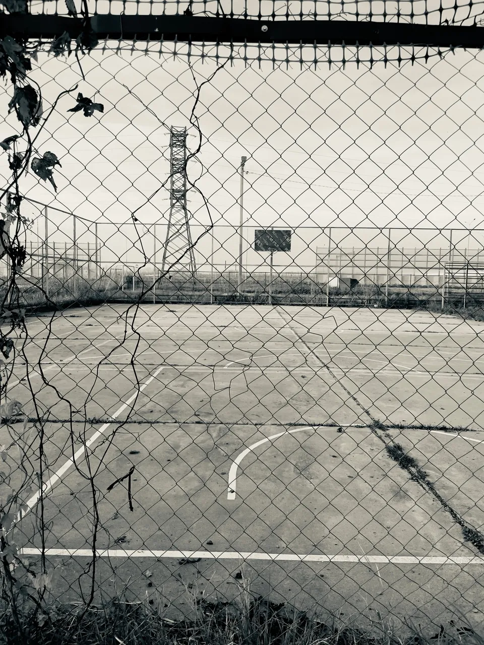 ностальгия