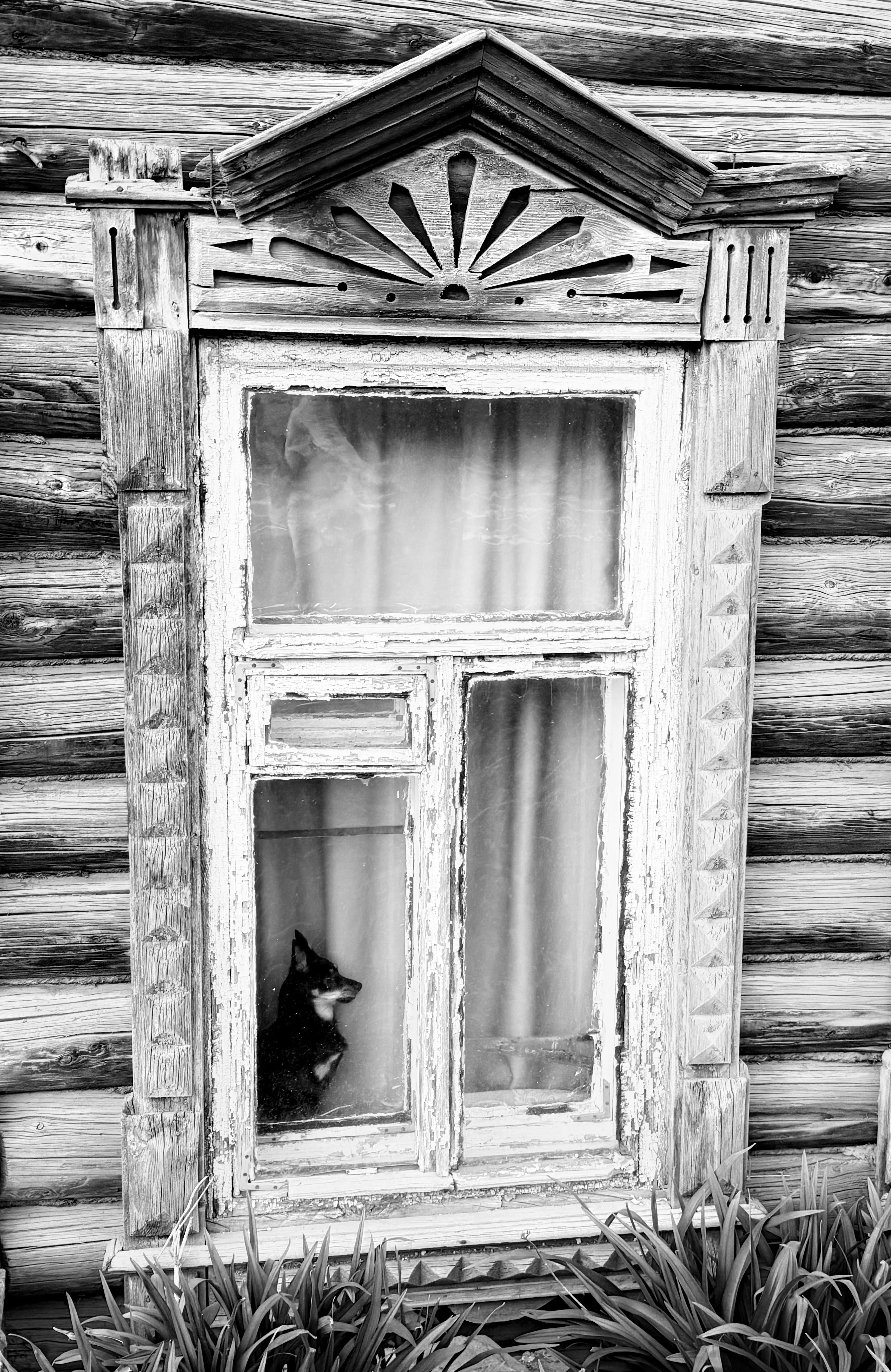 Смотреть..