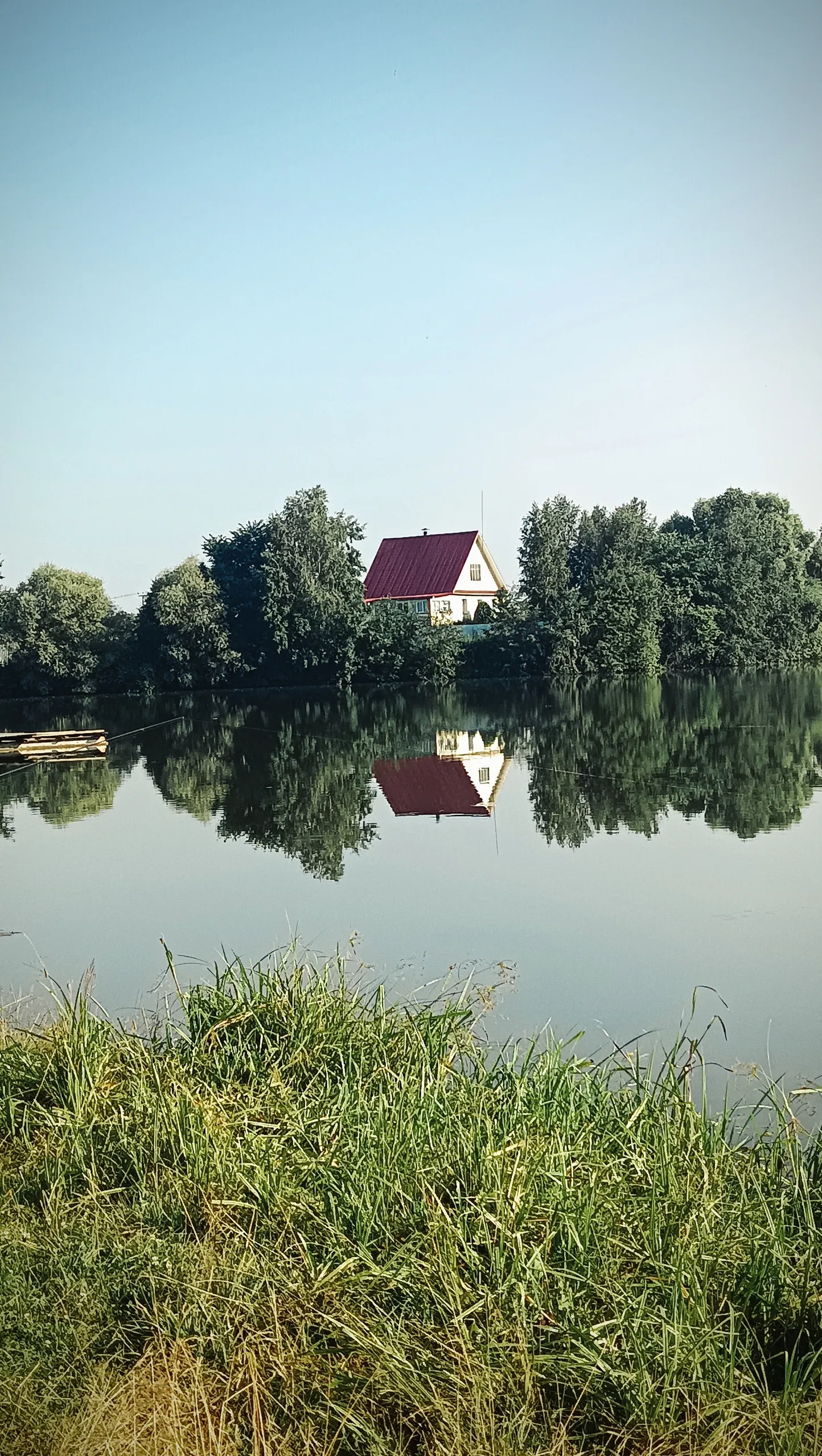 Картина мира
