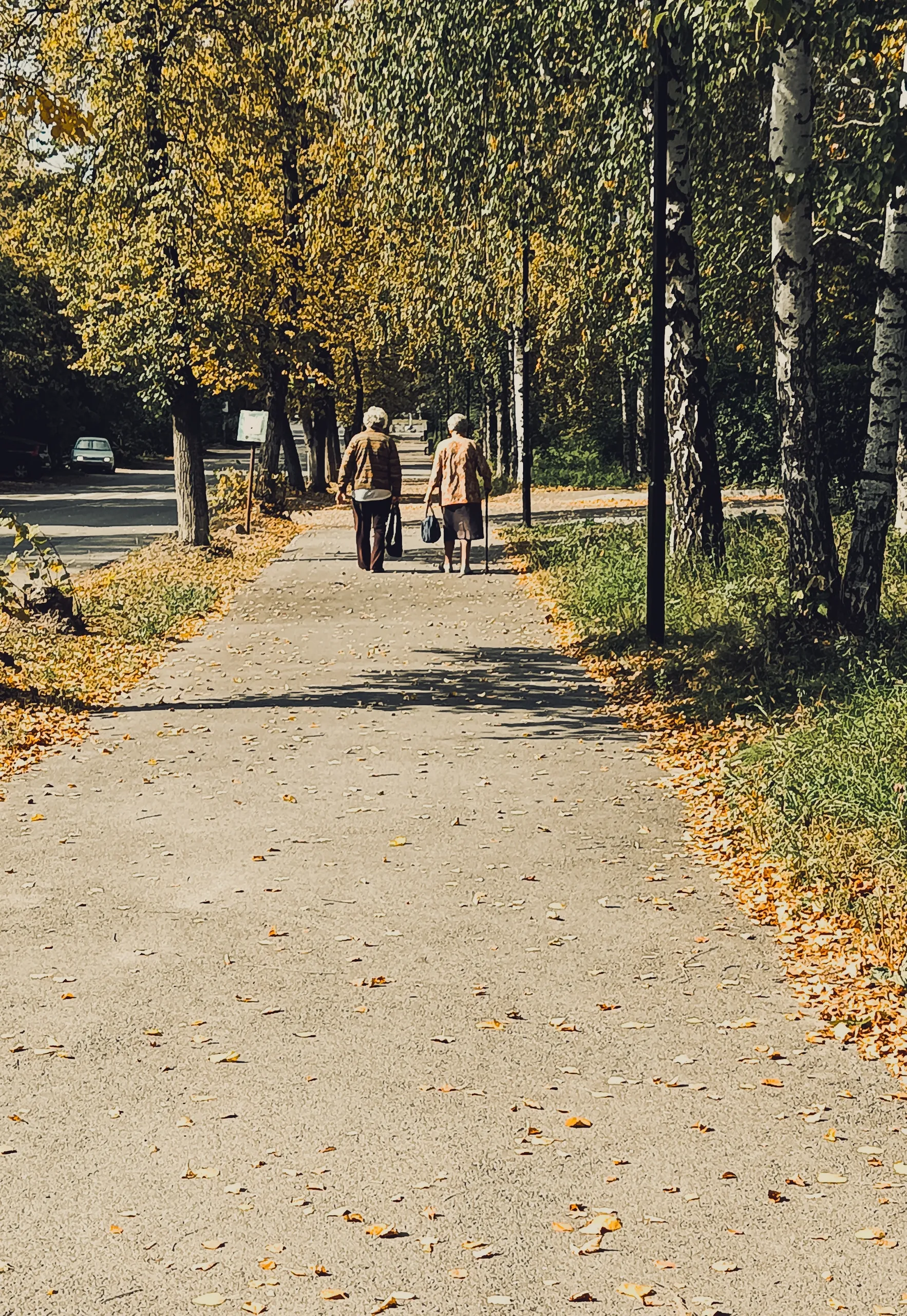 Осень жизни