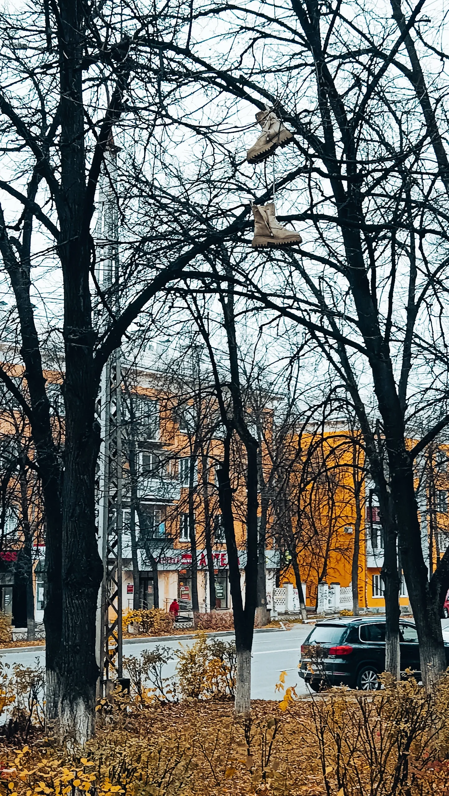 Сверху вид лучше
