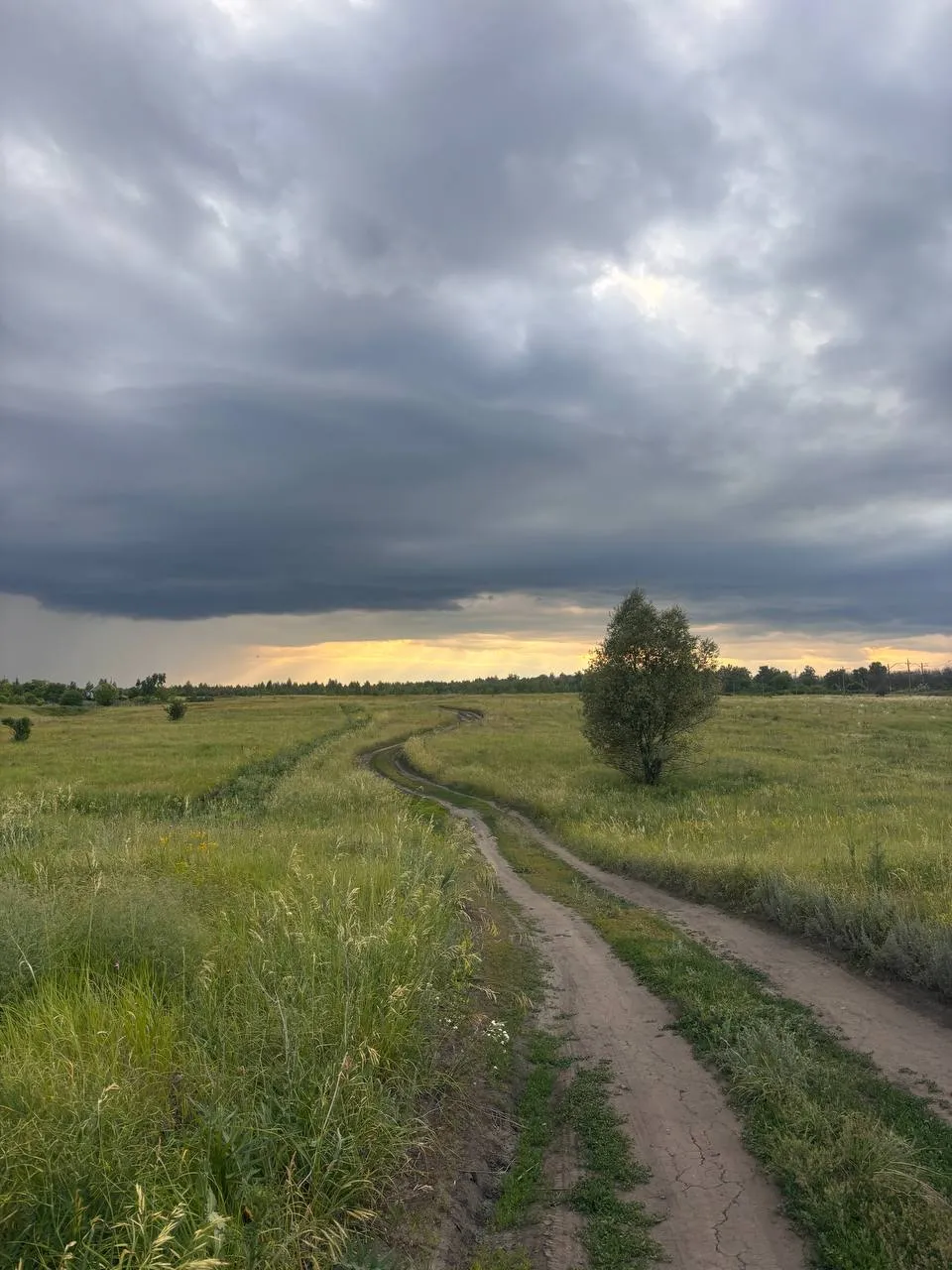 Перед грозой