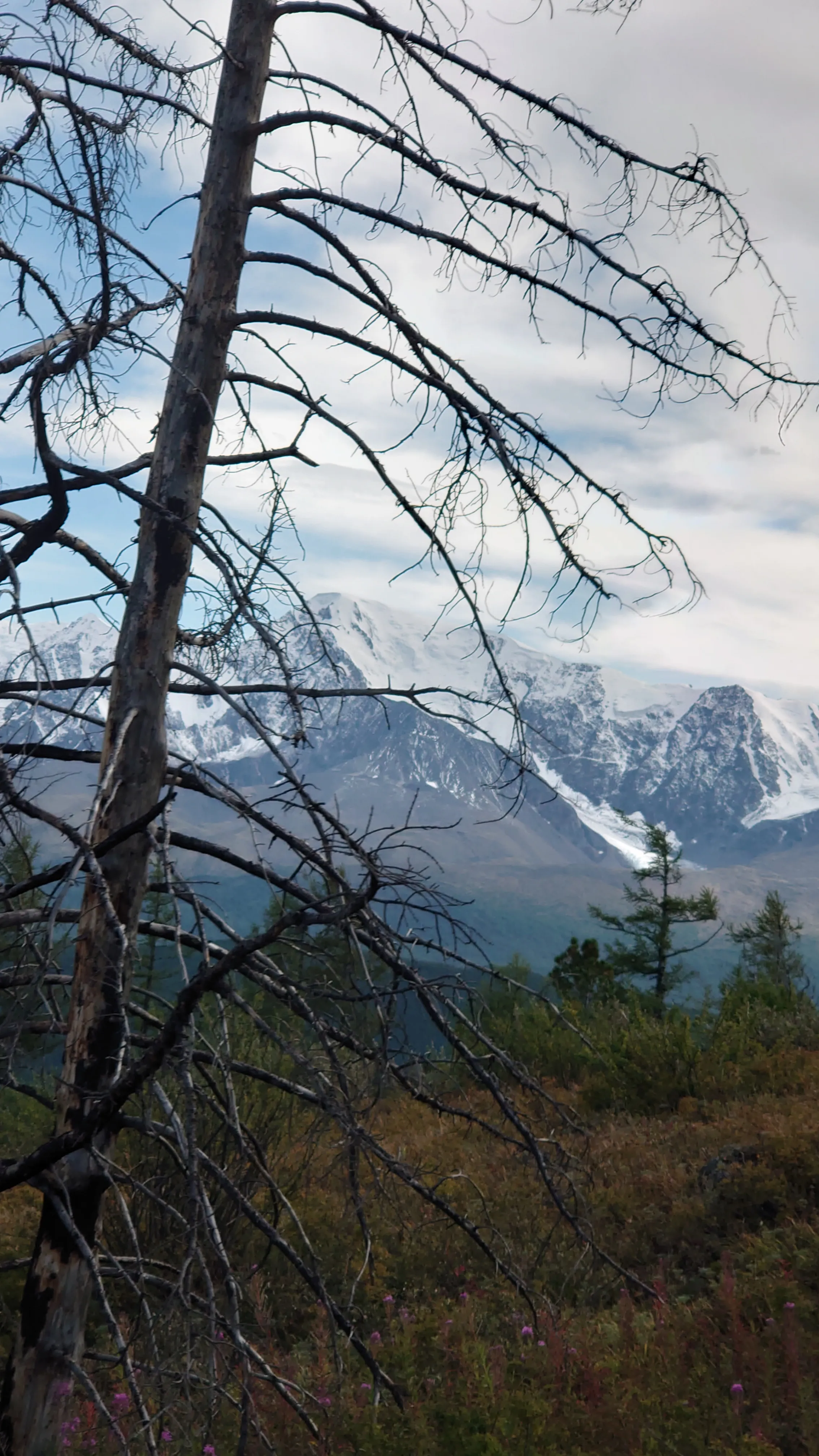 Горы Алтая
