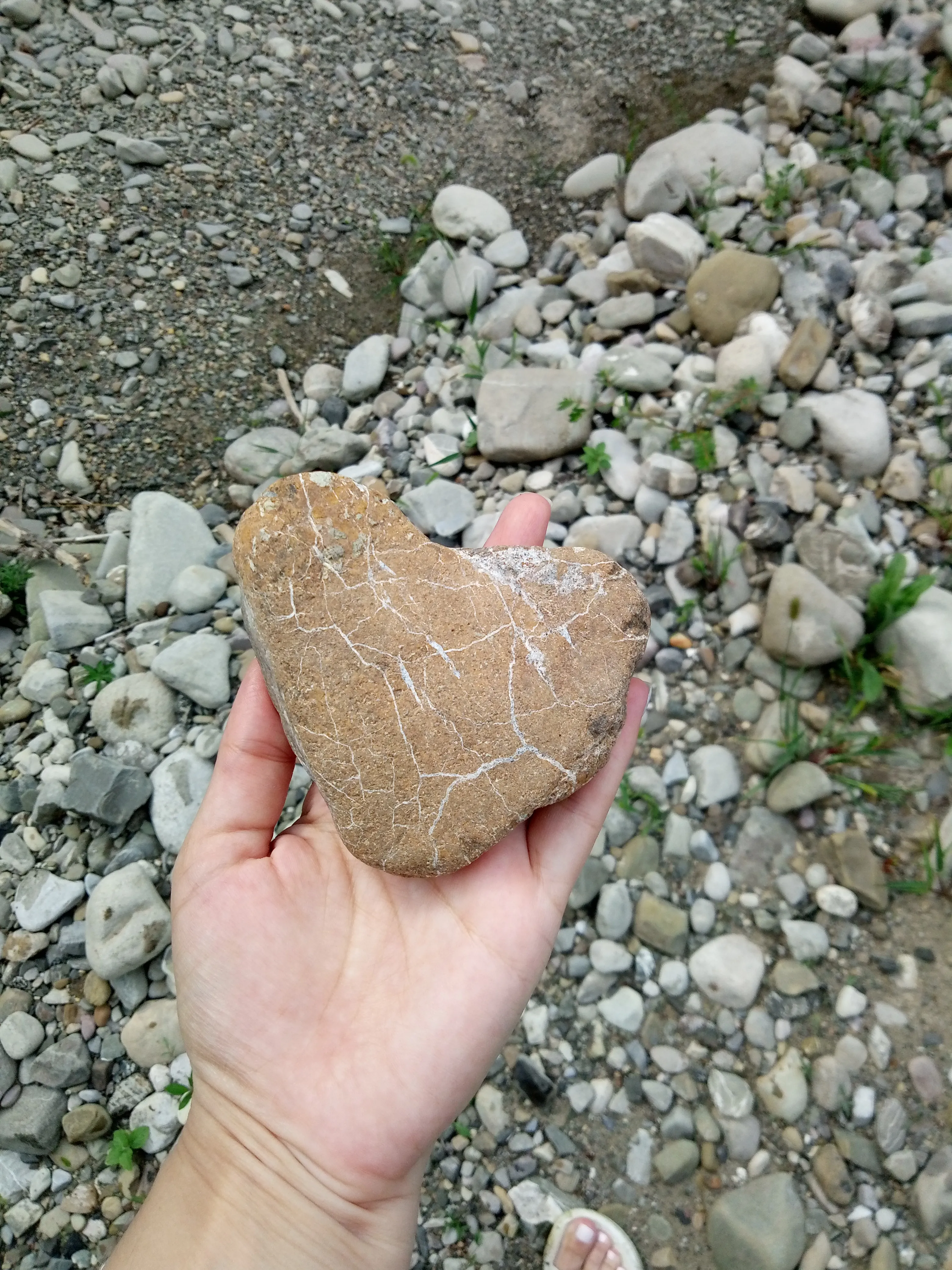 Каменное сердце