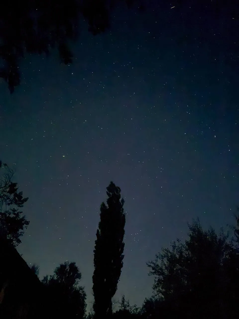 Звёздное небо