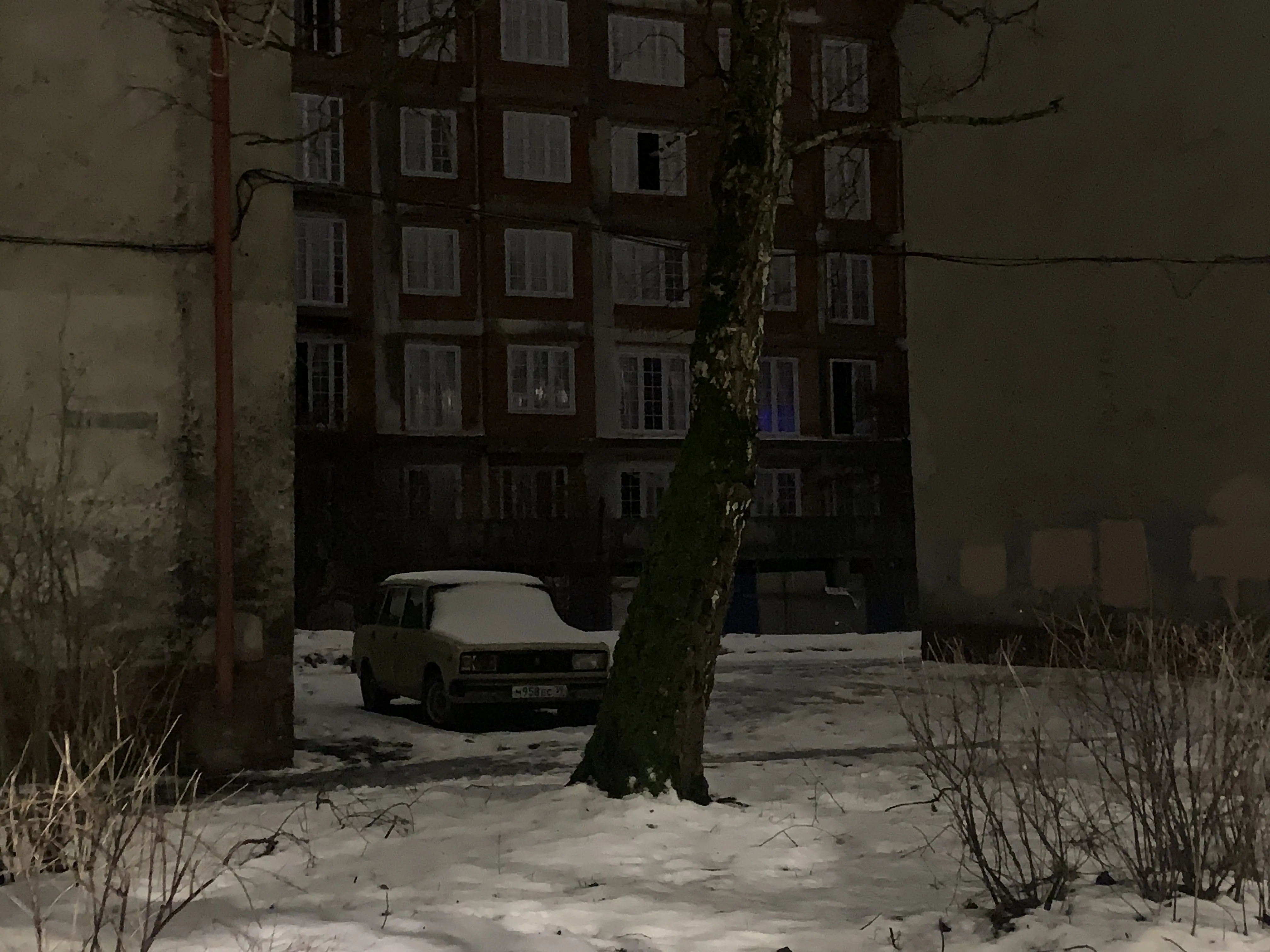 Эстетический арест