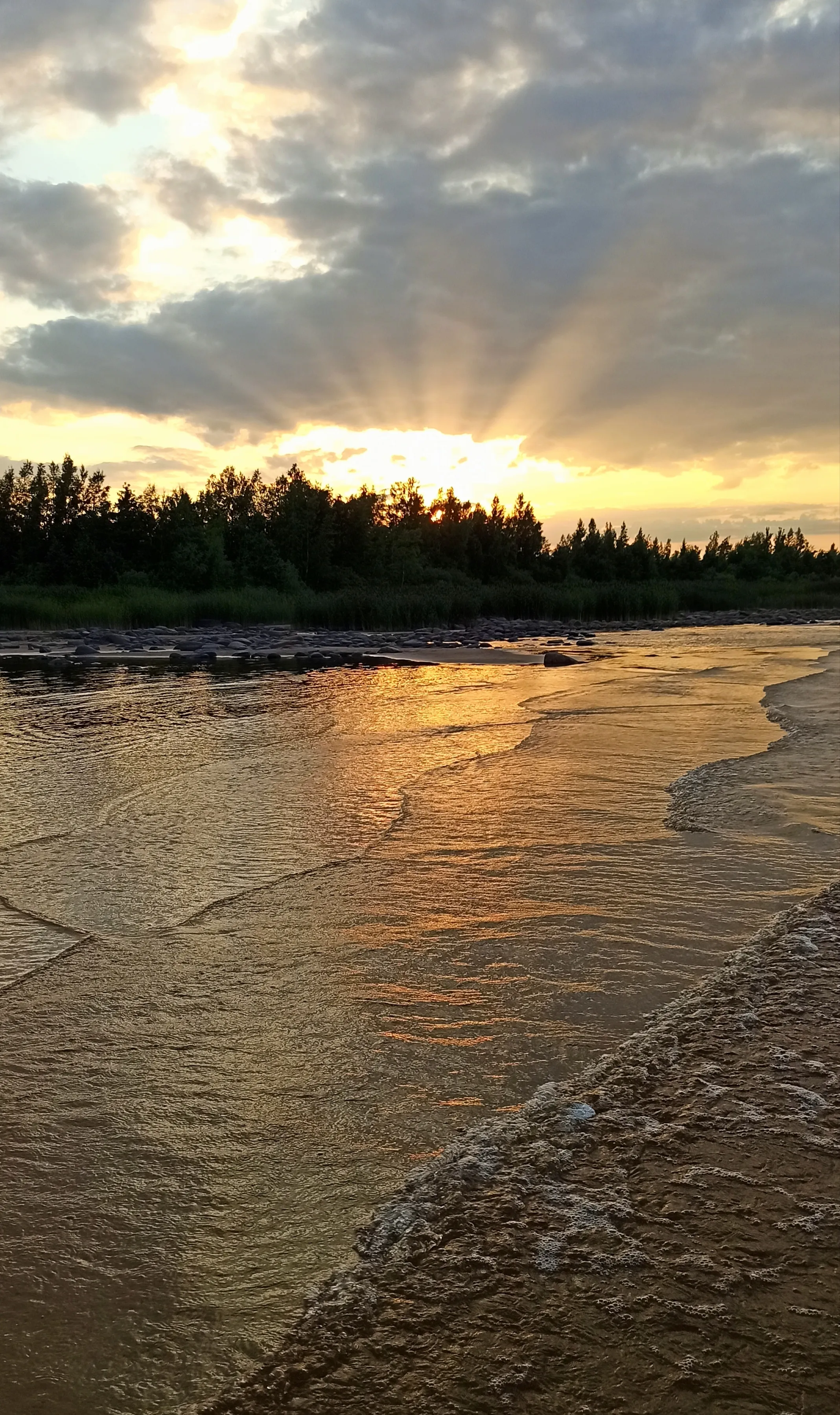 Лучи света