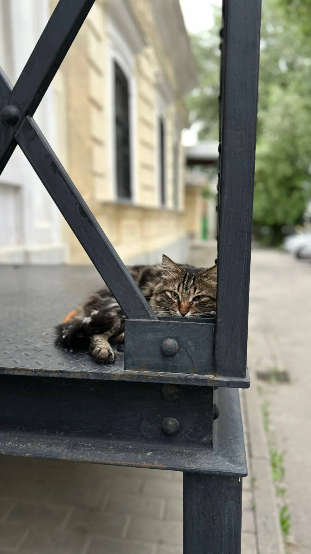 Без суеты