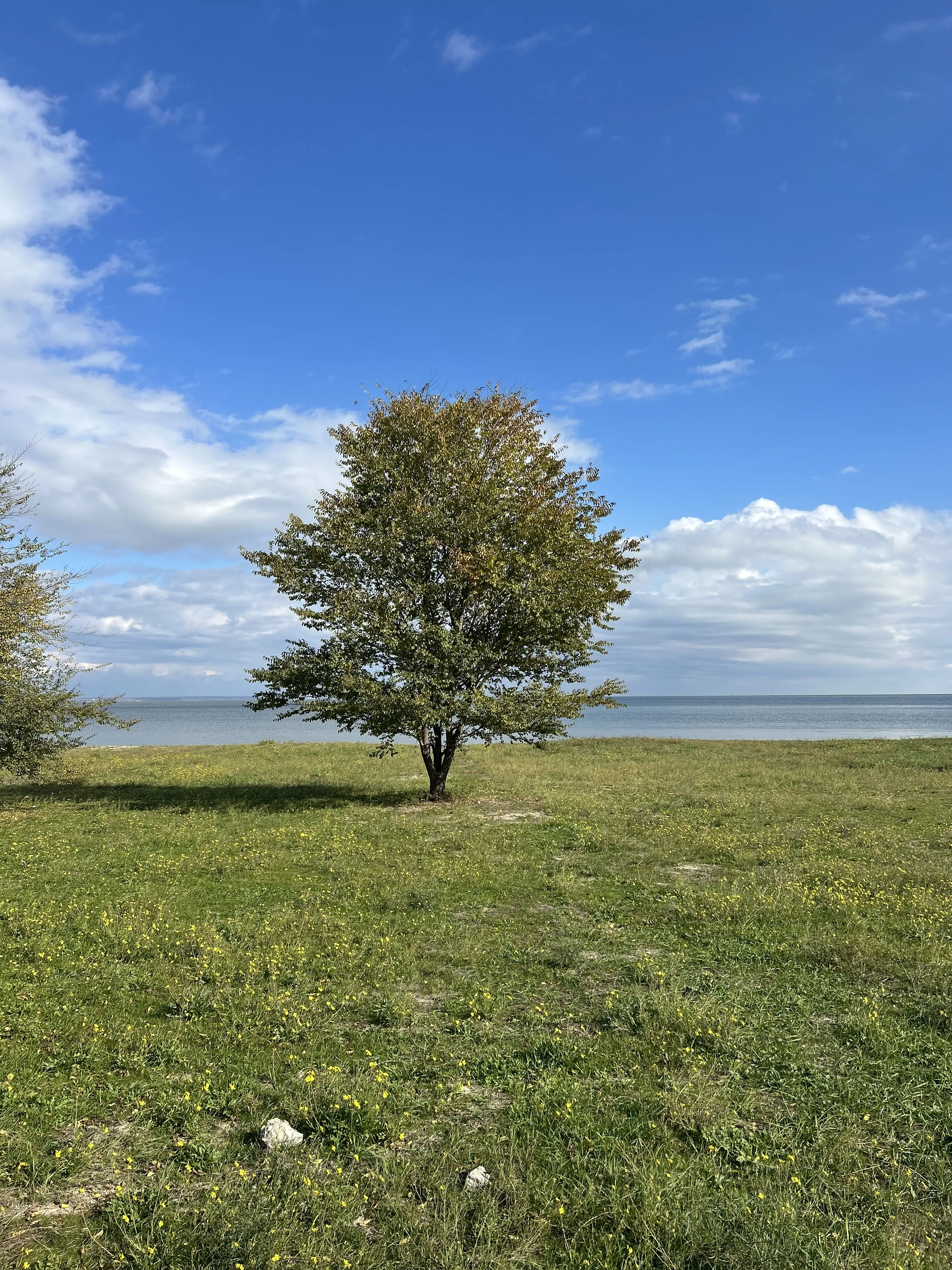 Время