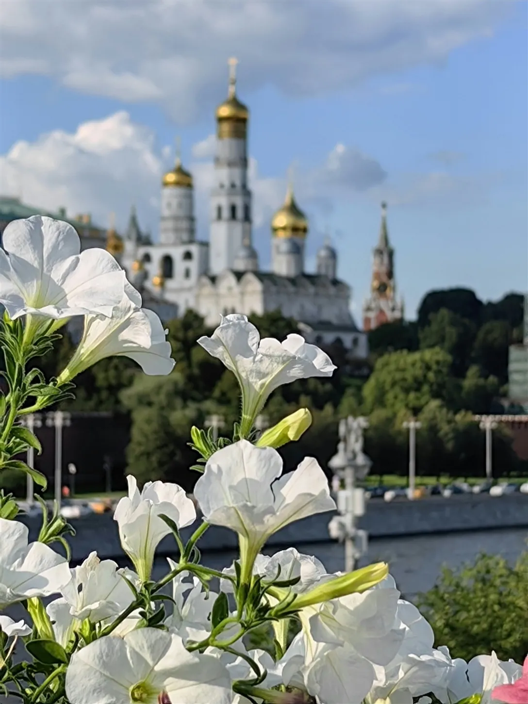 Москва златоглавая