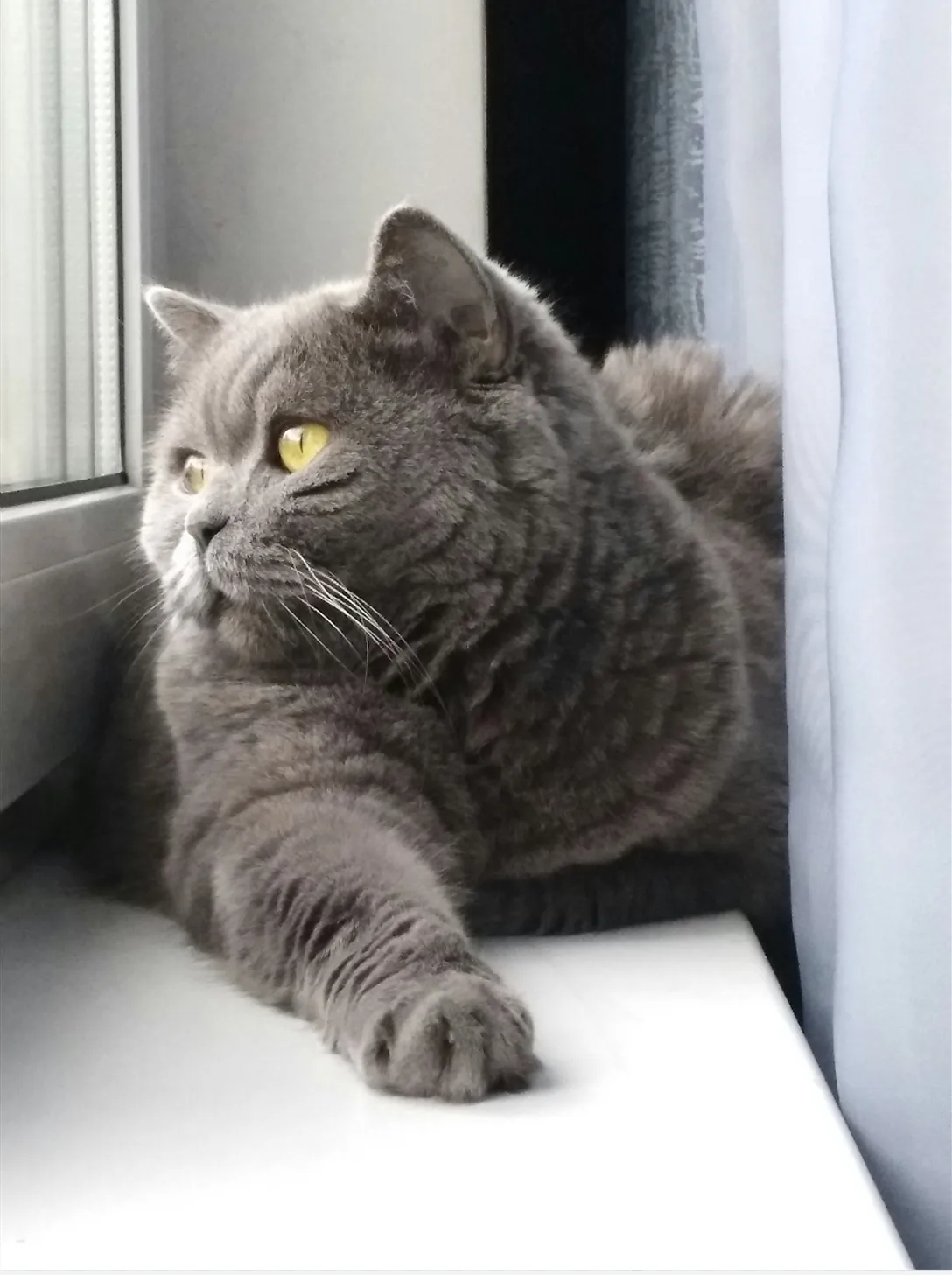 Там за окном