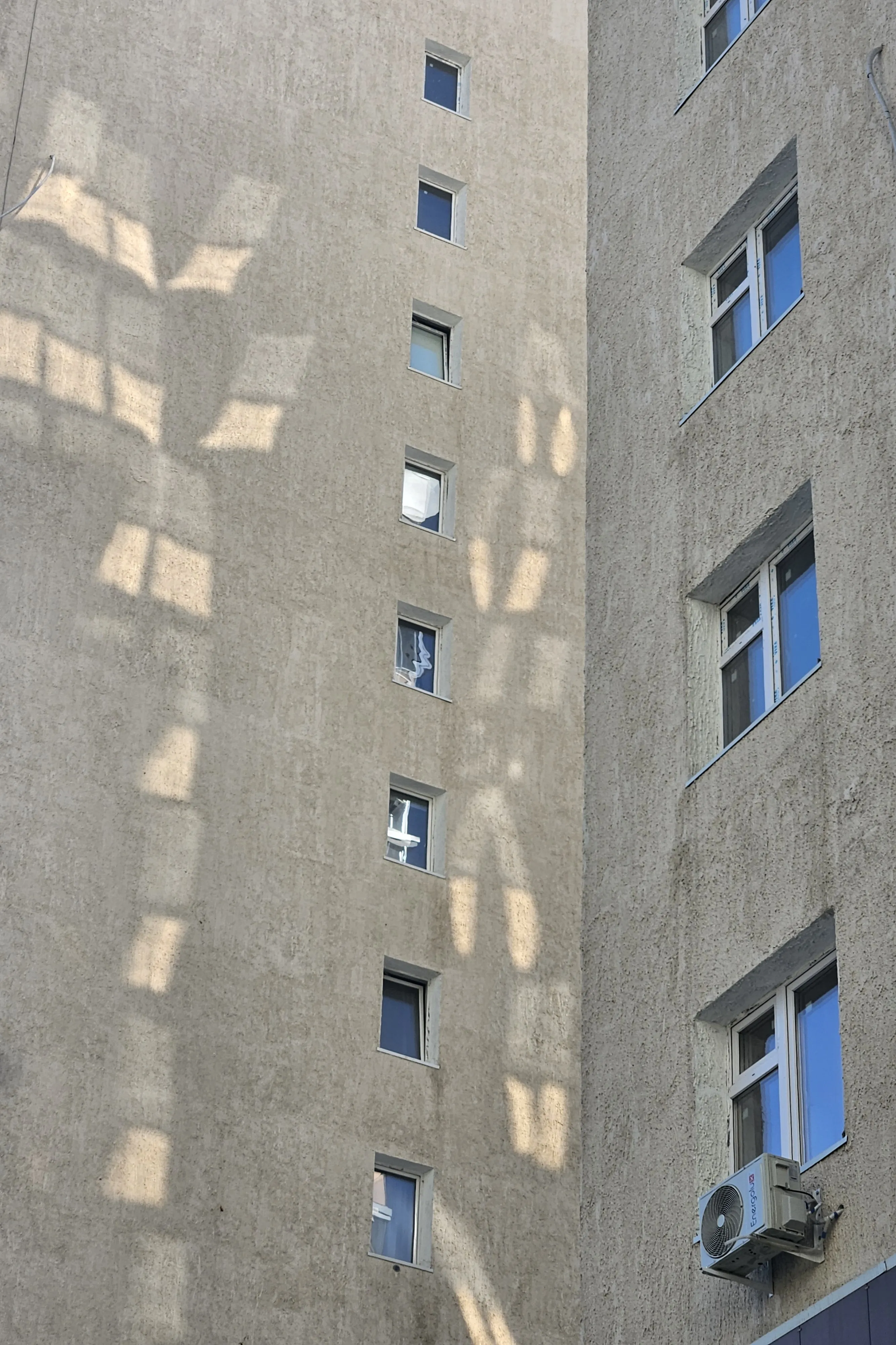 Зайчики