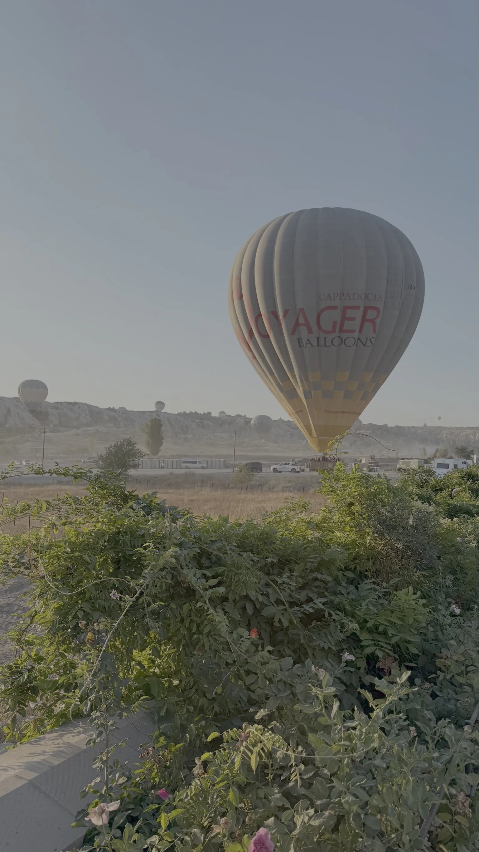 Balloon
