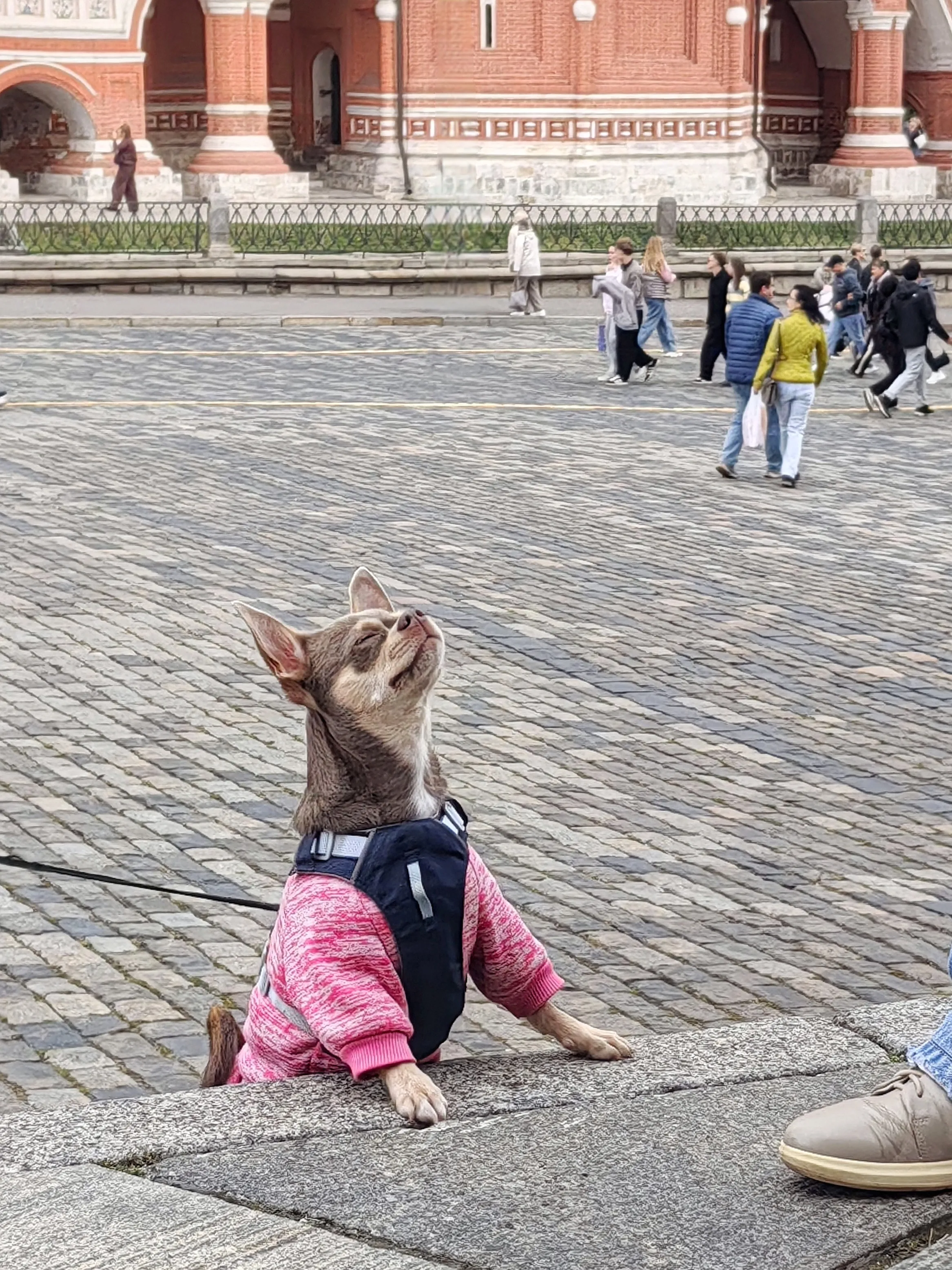 Доверие без слов
