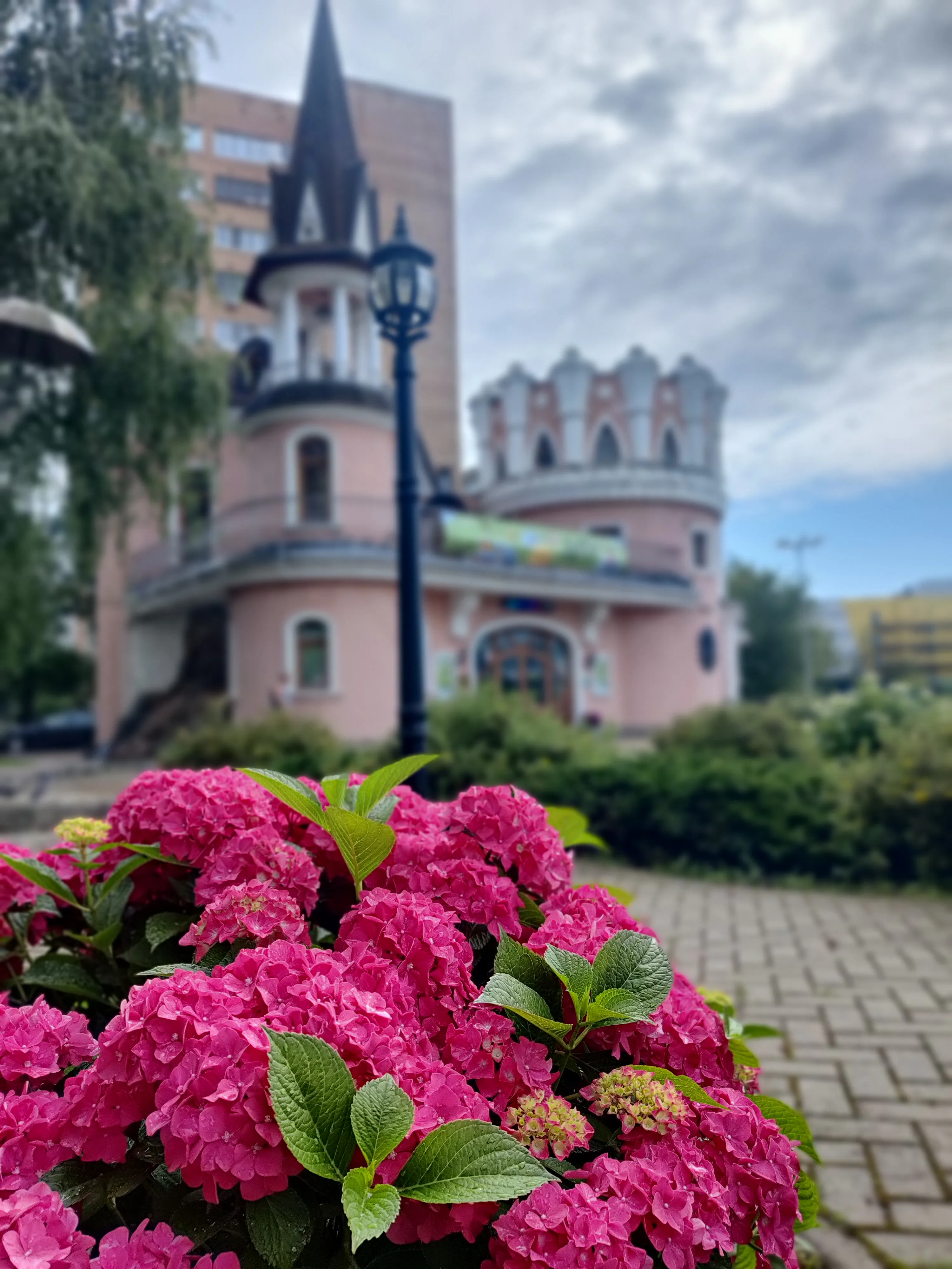 Дом мечты