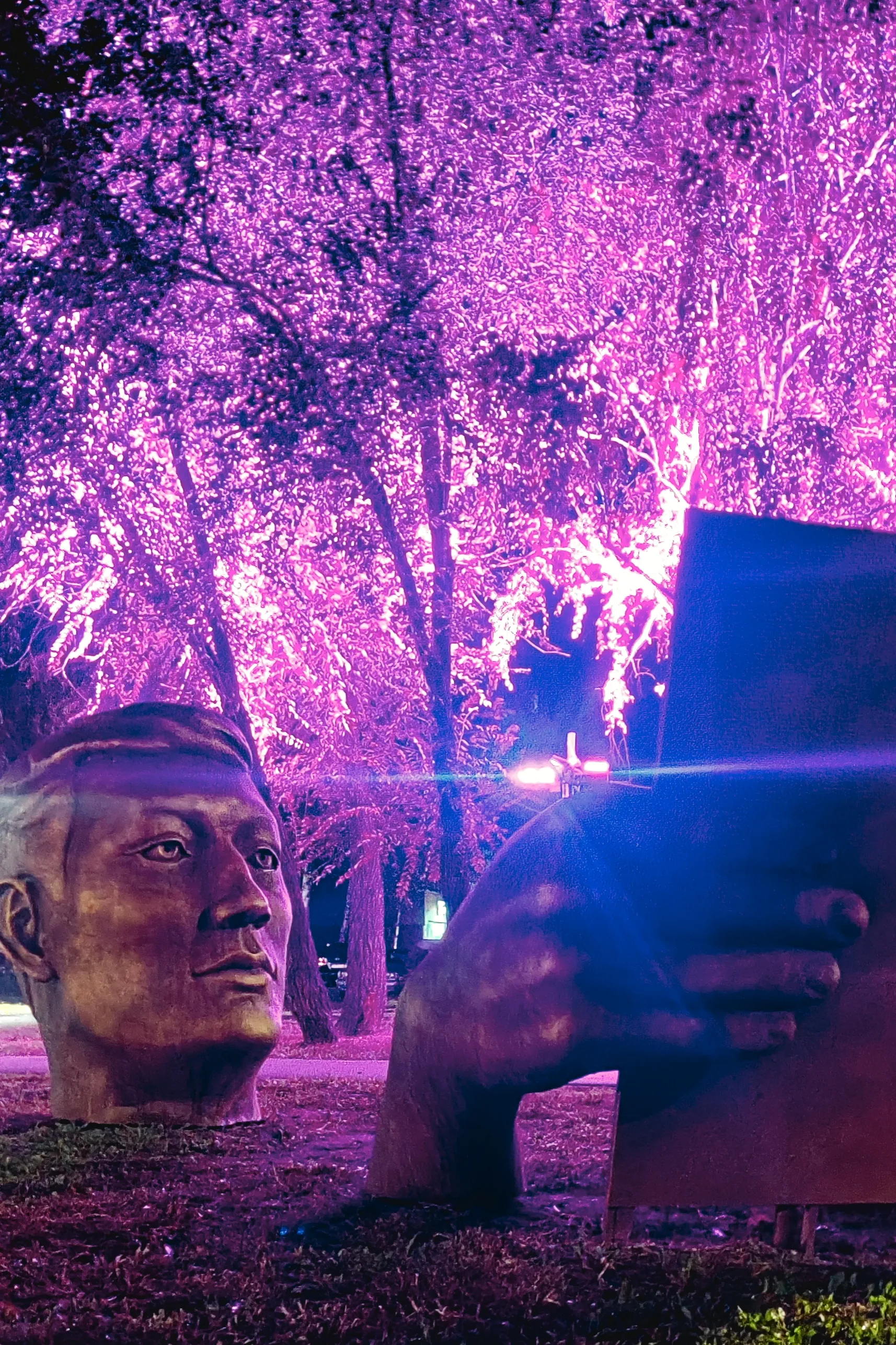 Ученье свет