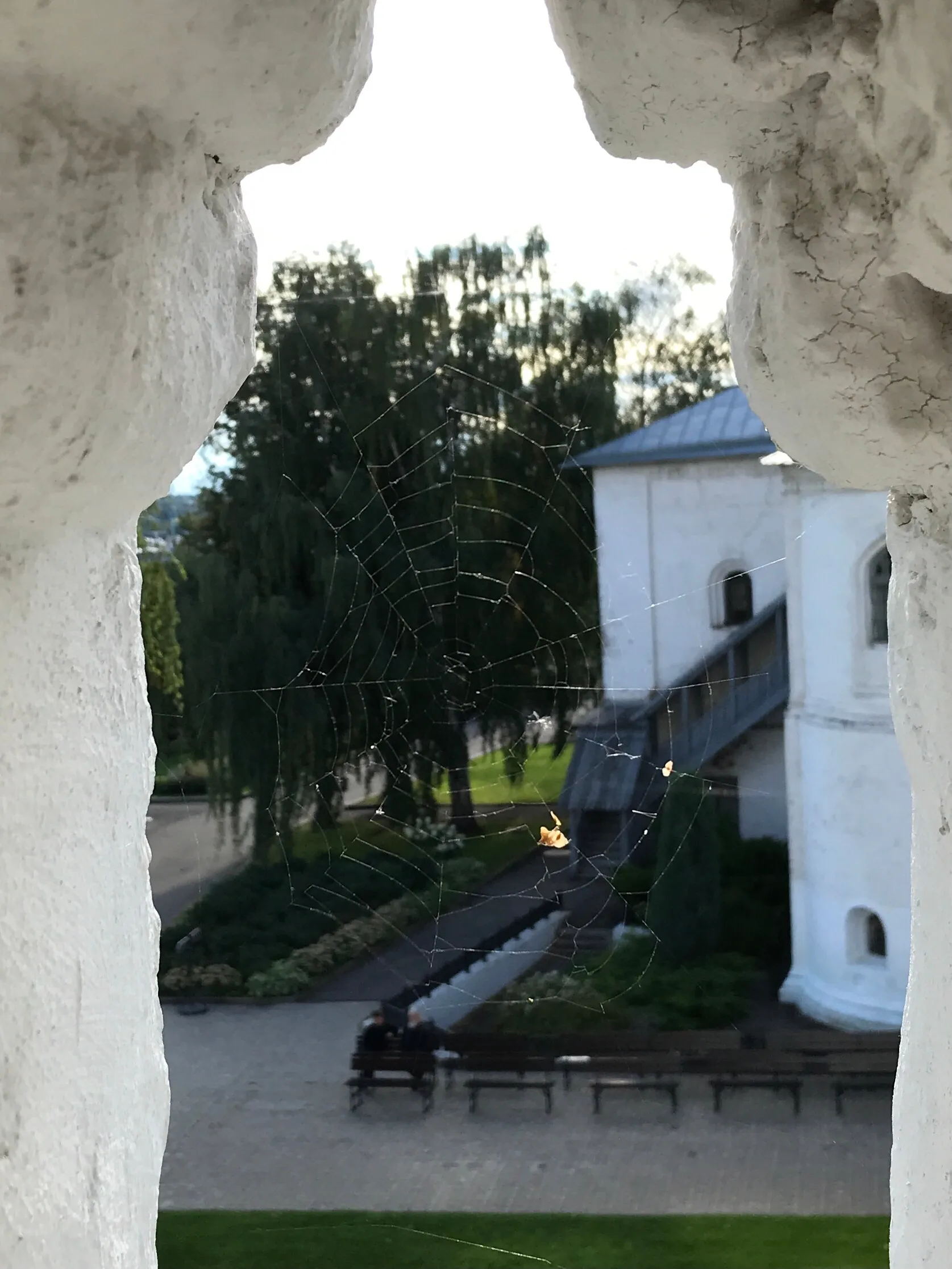 Природные сети
