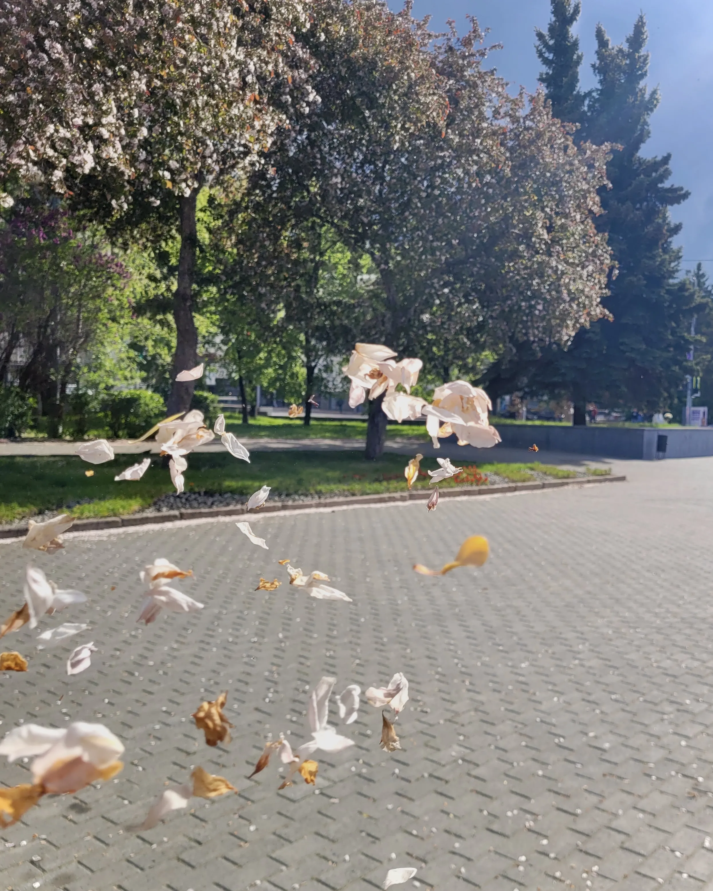 Между веткой и землёй