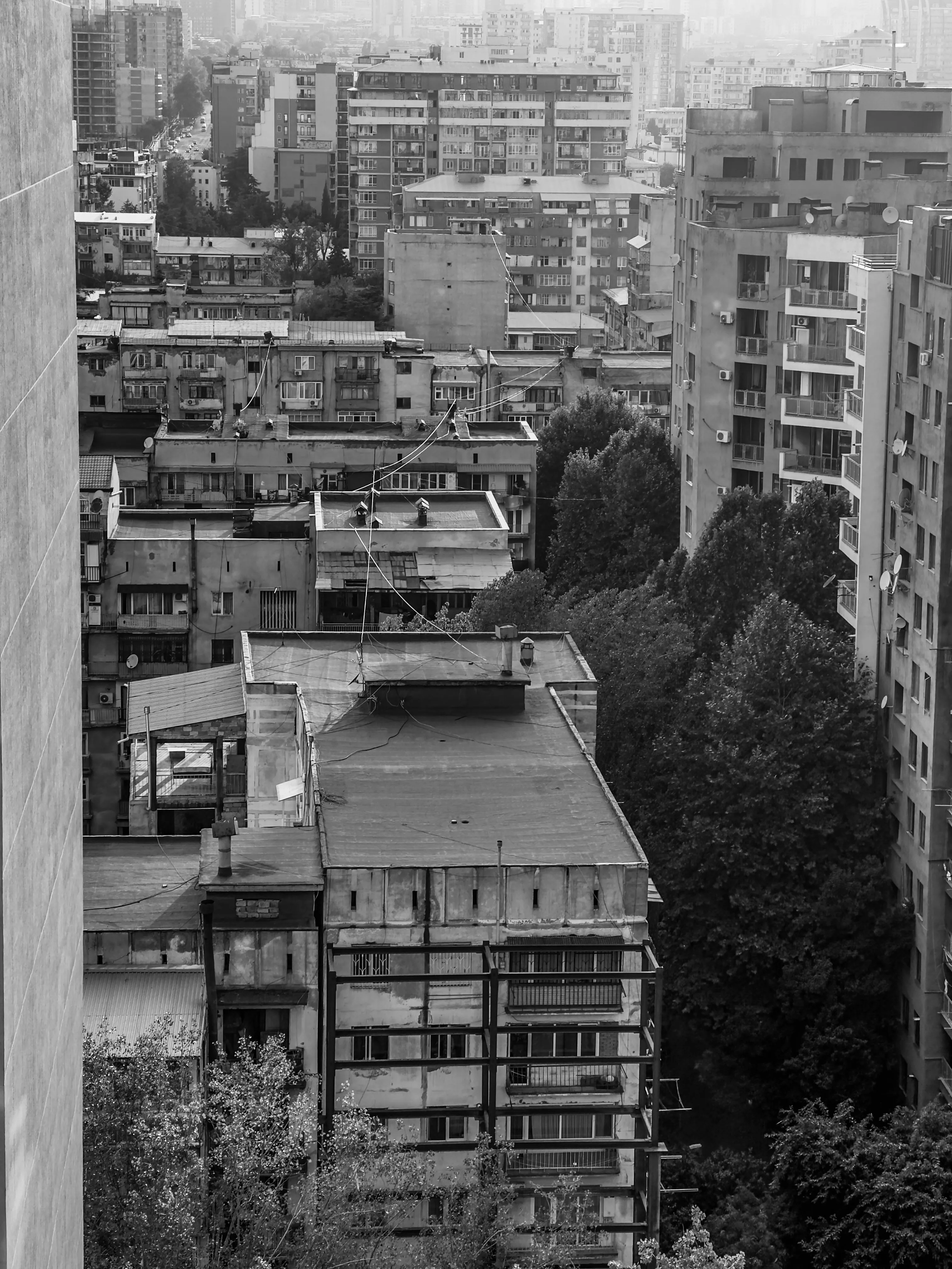 каменные джунгли