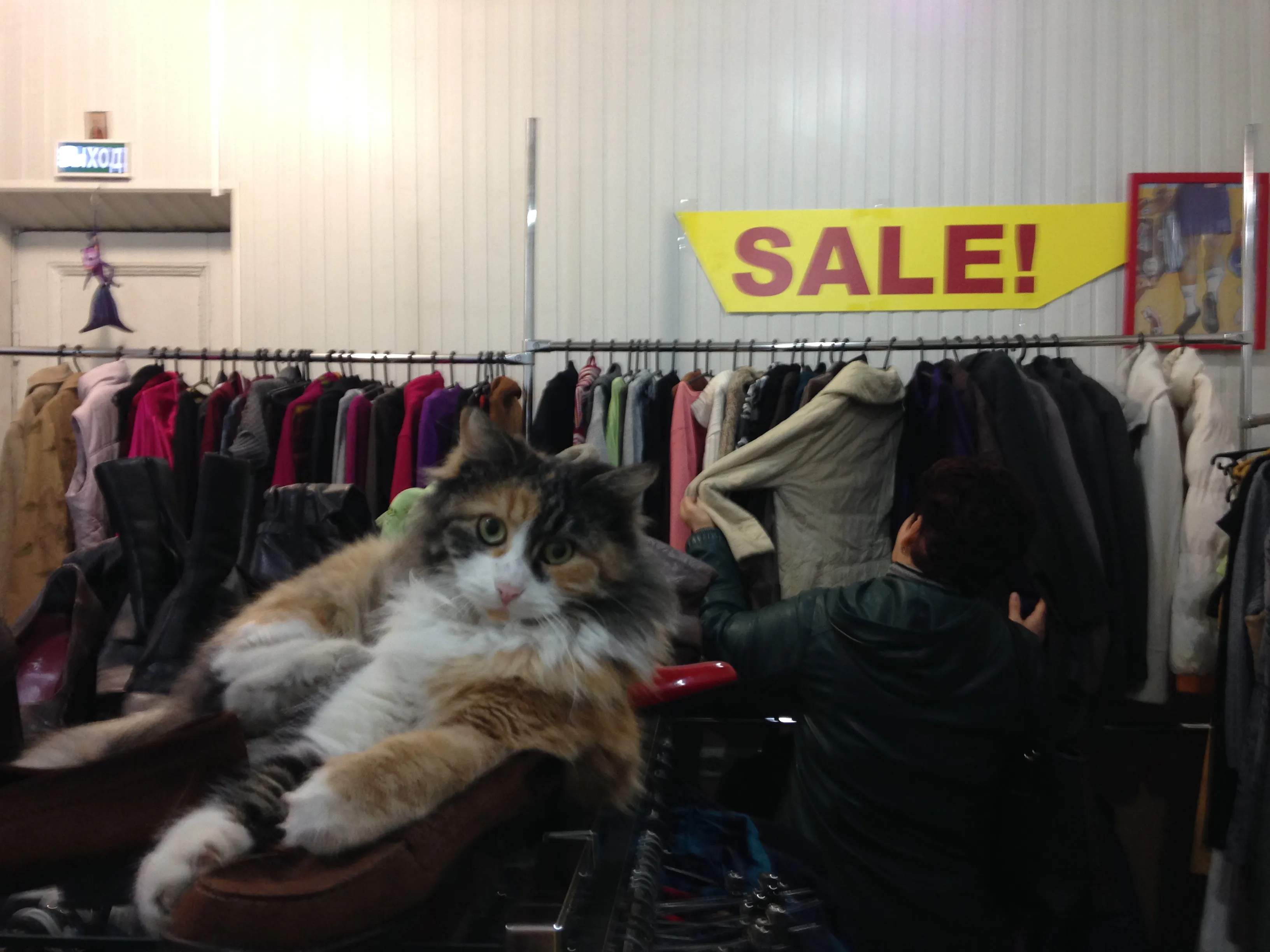 Продавец котсультант