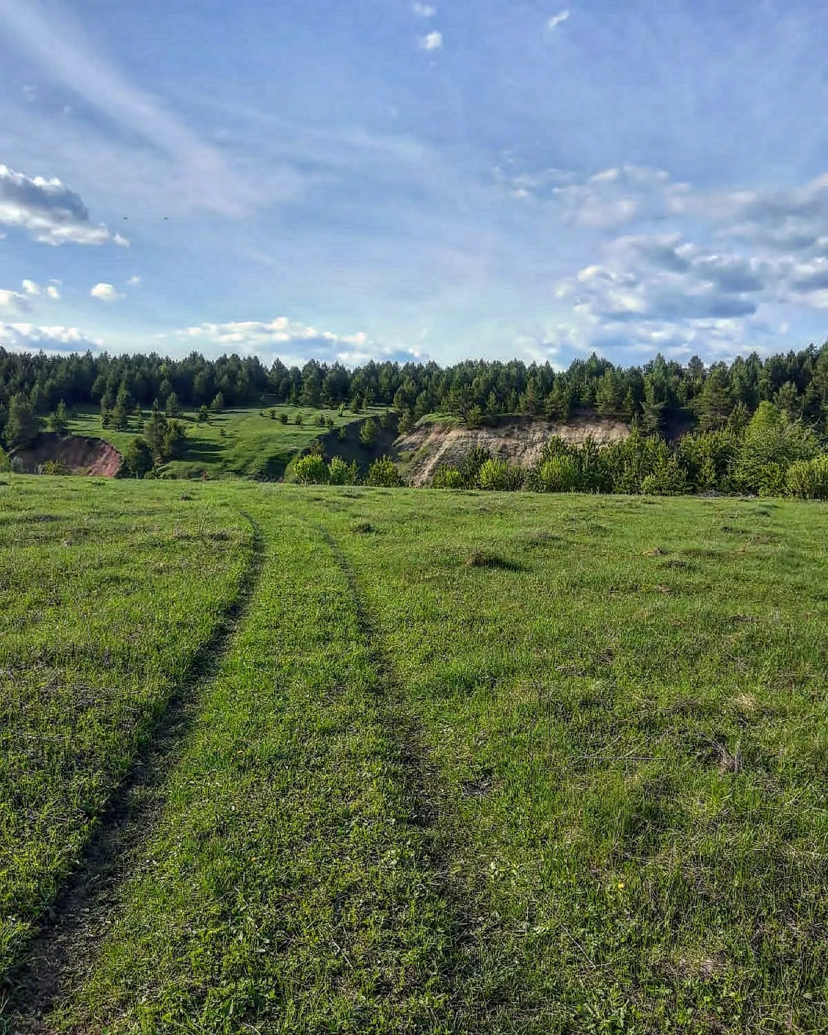 Дорога к природе