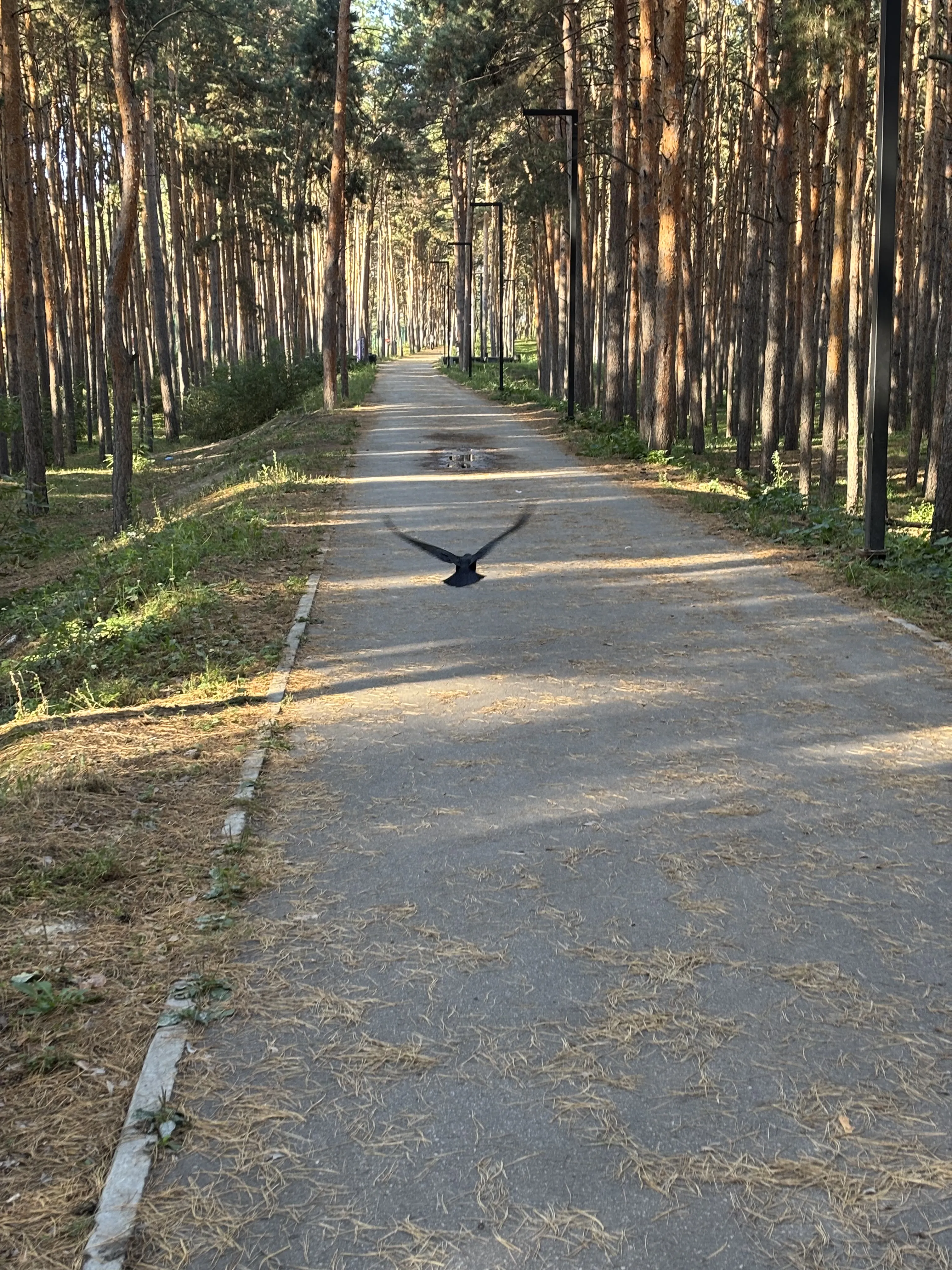 Полет