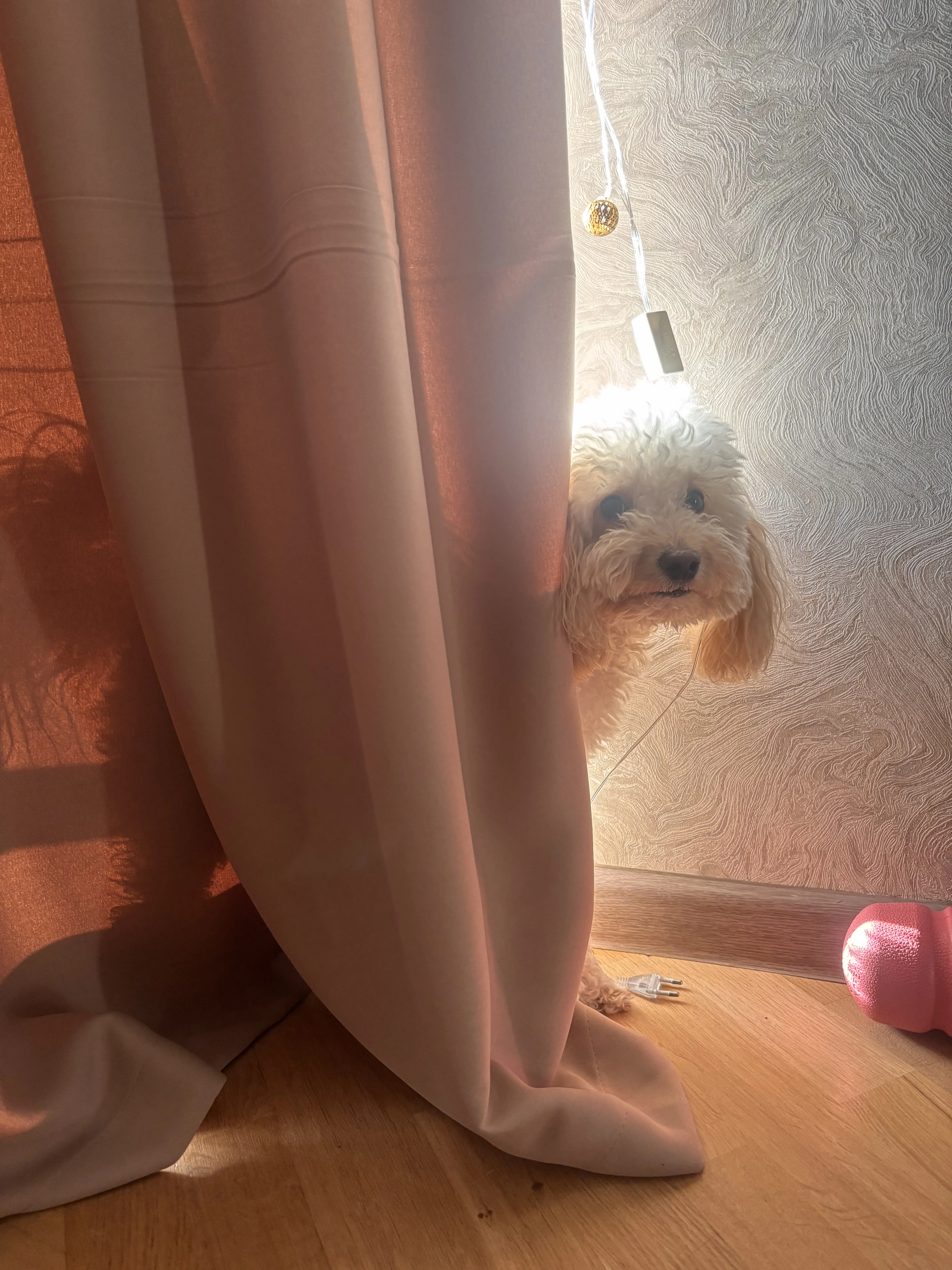Светлая голова