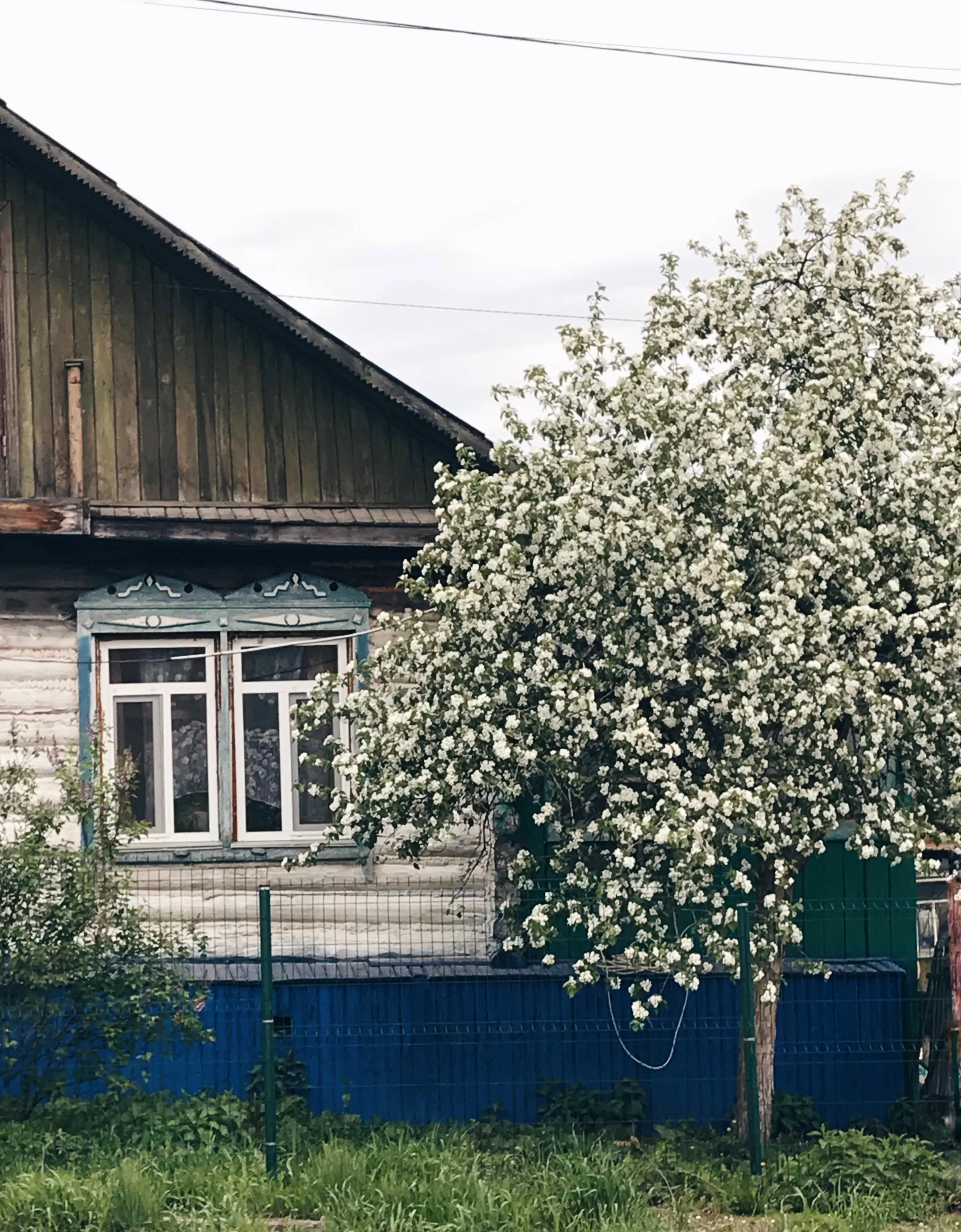 Домик в деревне
