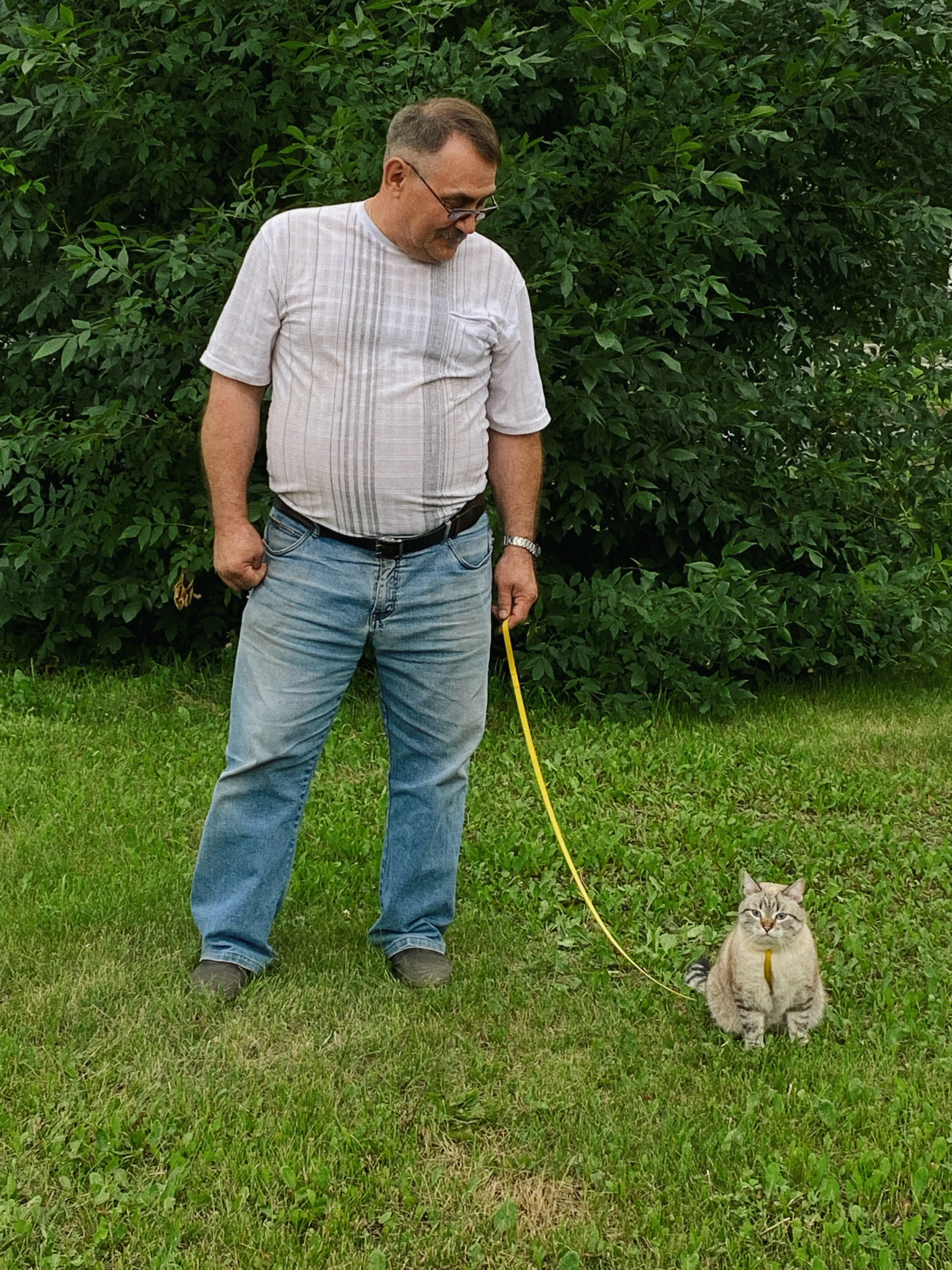 На прогулке