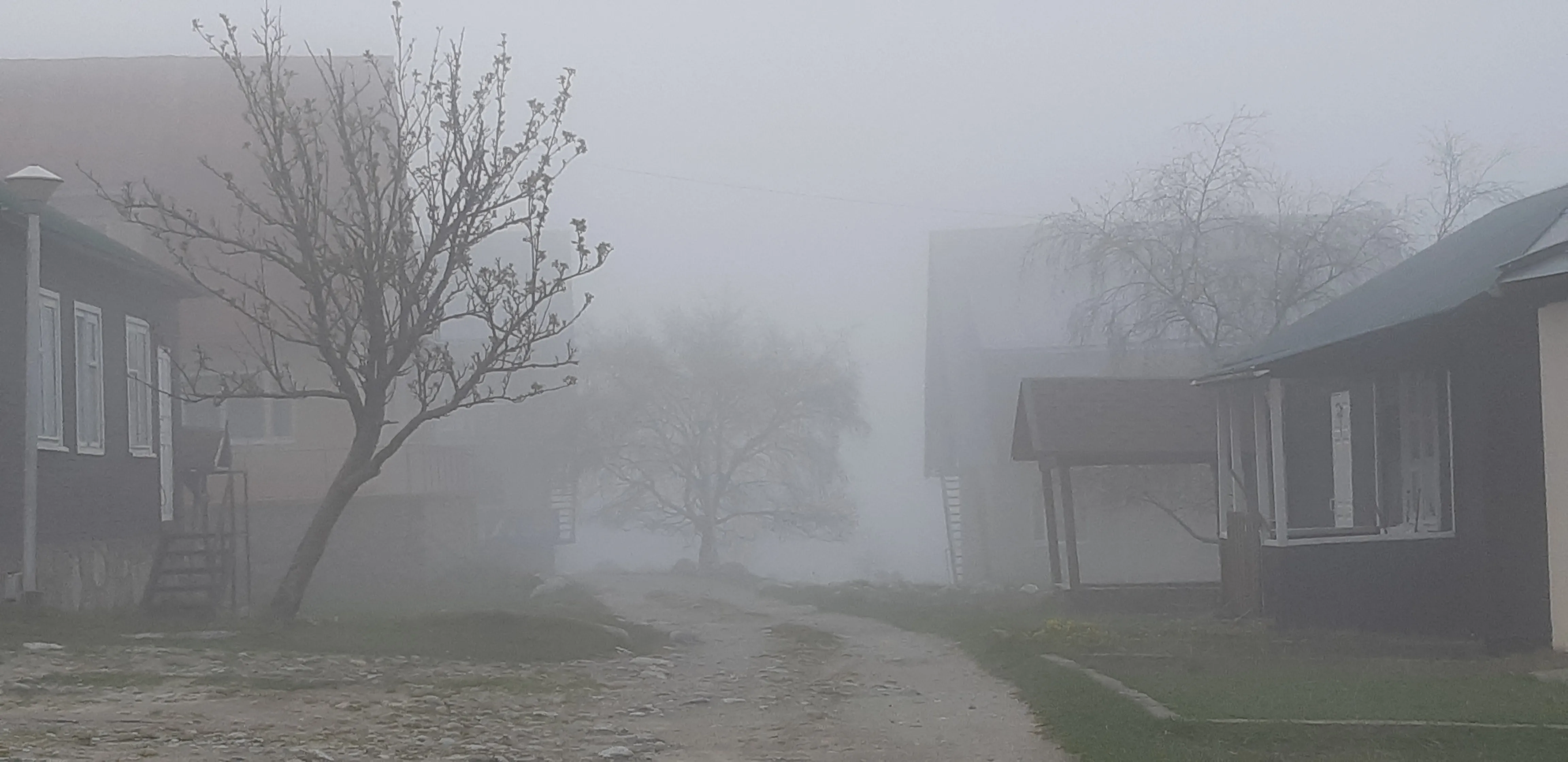 Утренний туман