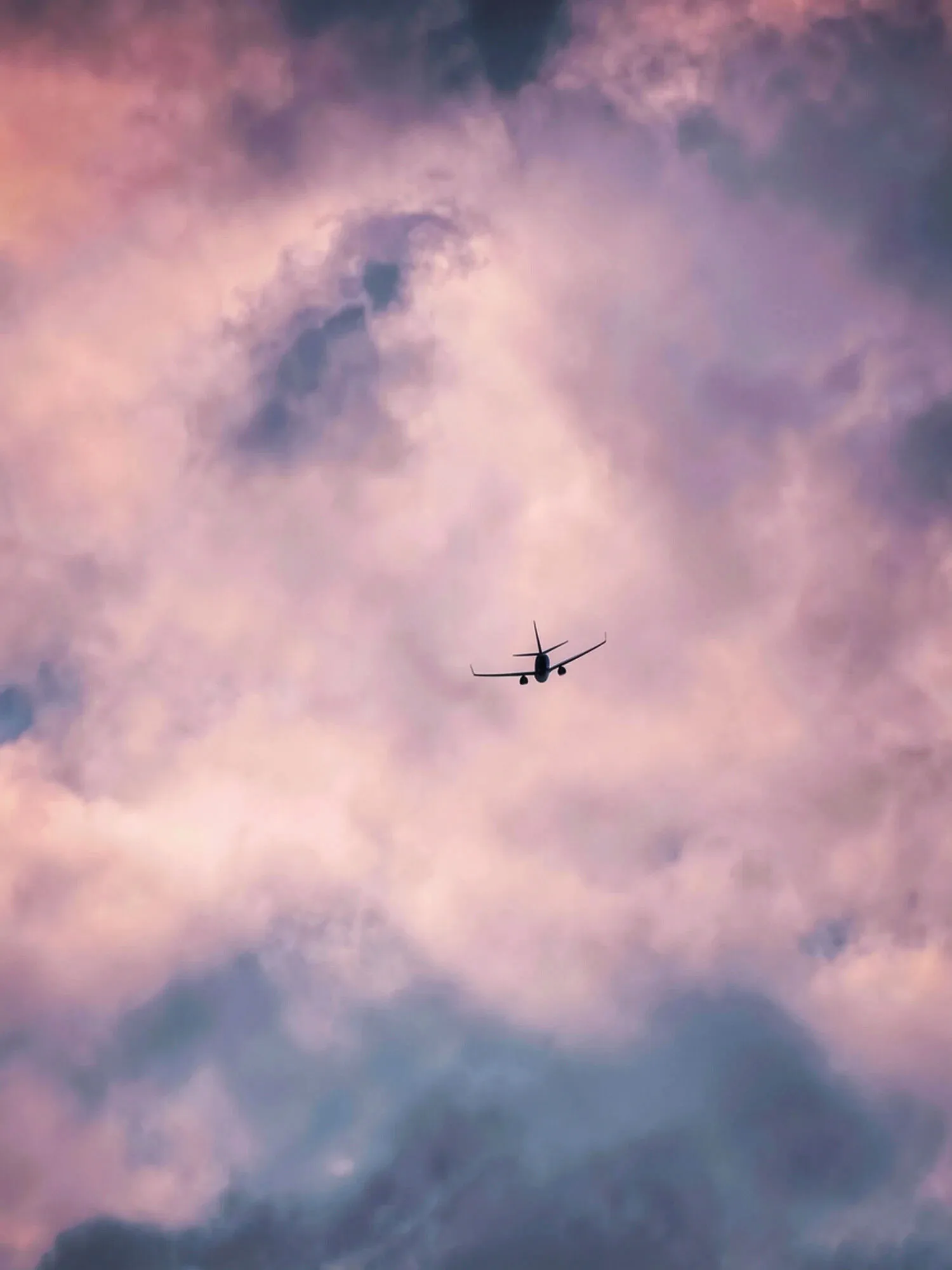 The Flight